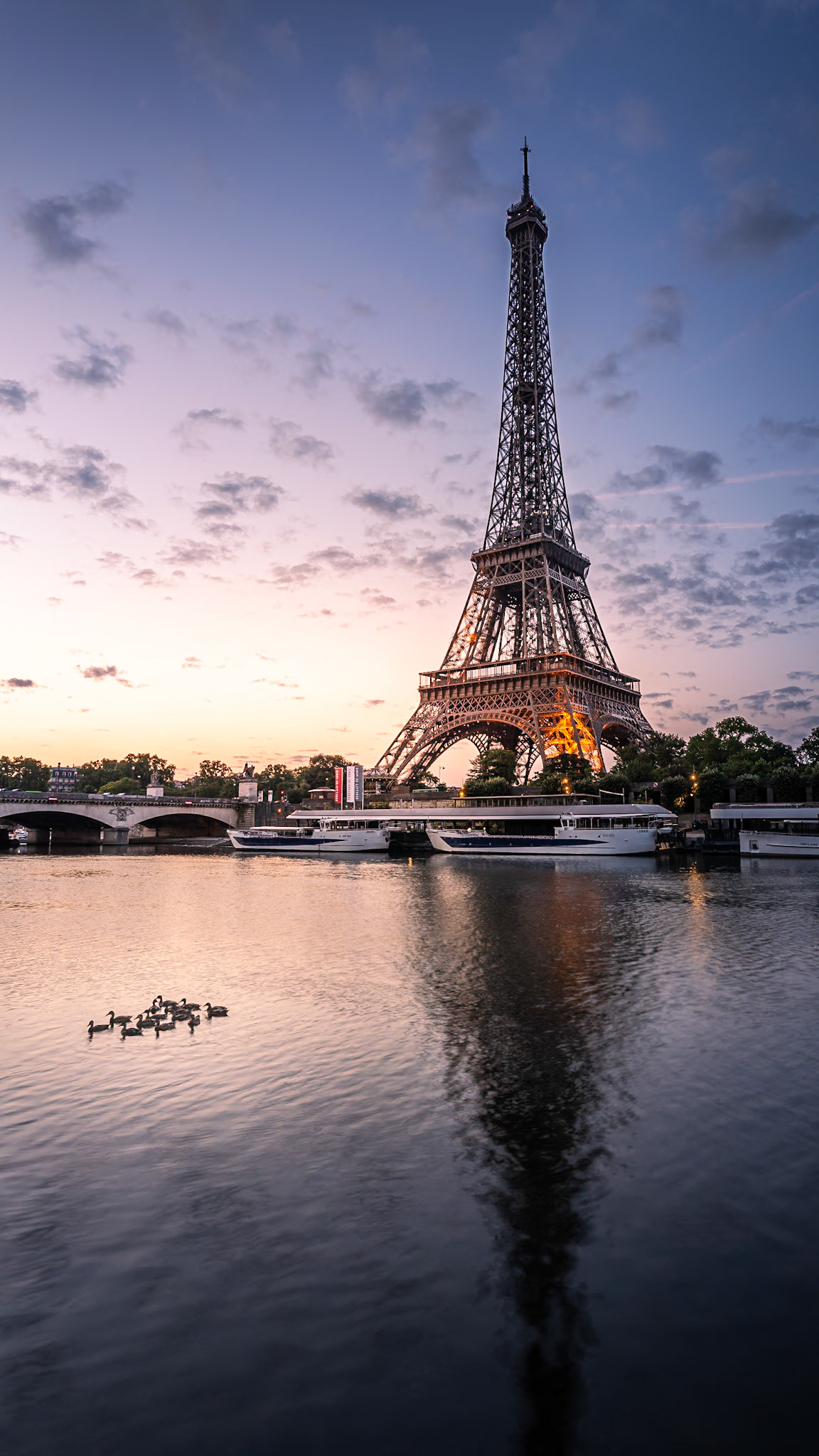 Paris - Ducklings and the Tower (16:9)