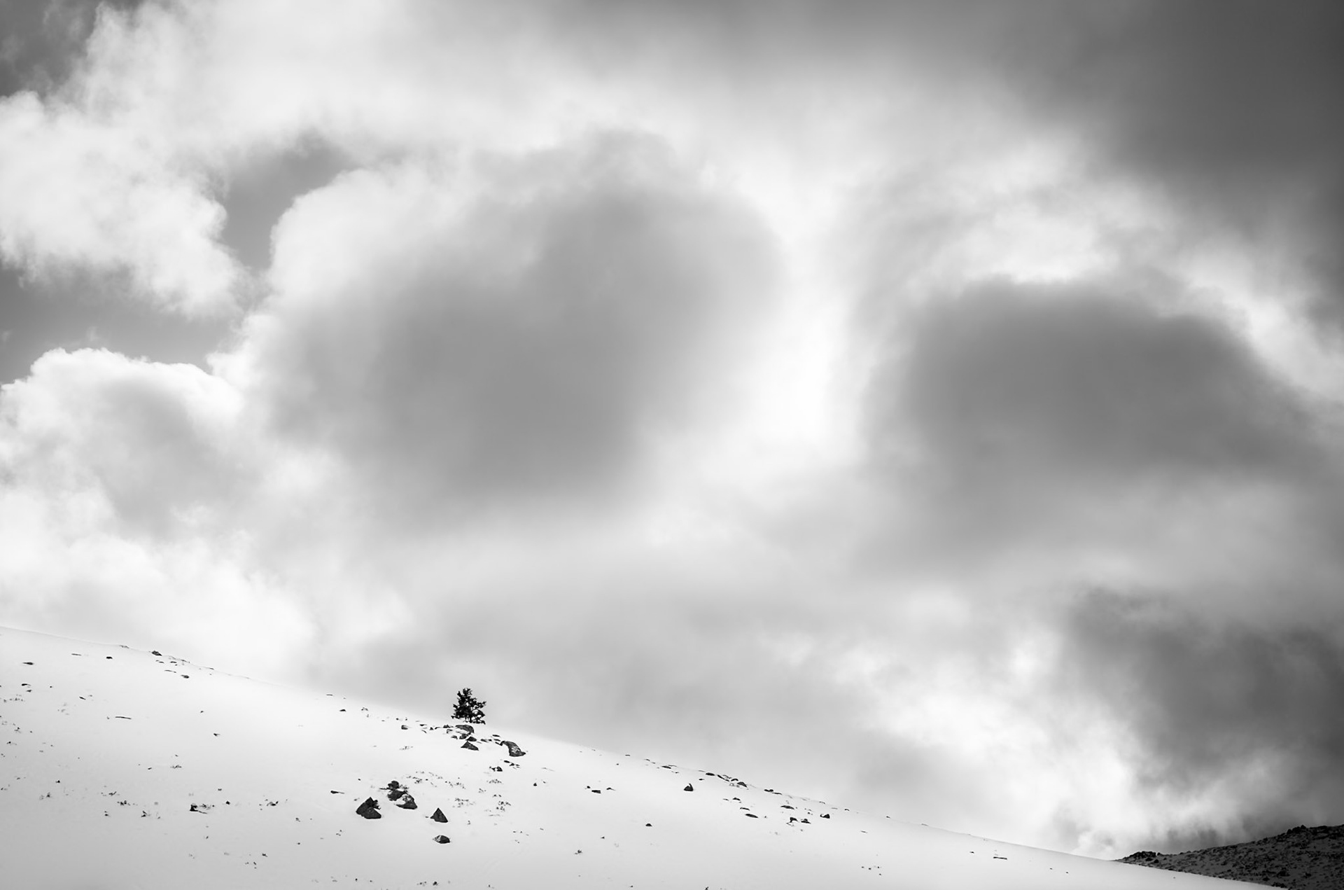 La Morcuera - Lonely Tree and Clouds (3:2)