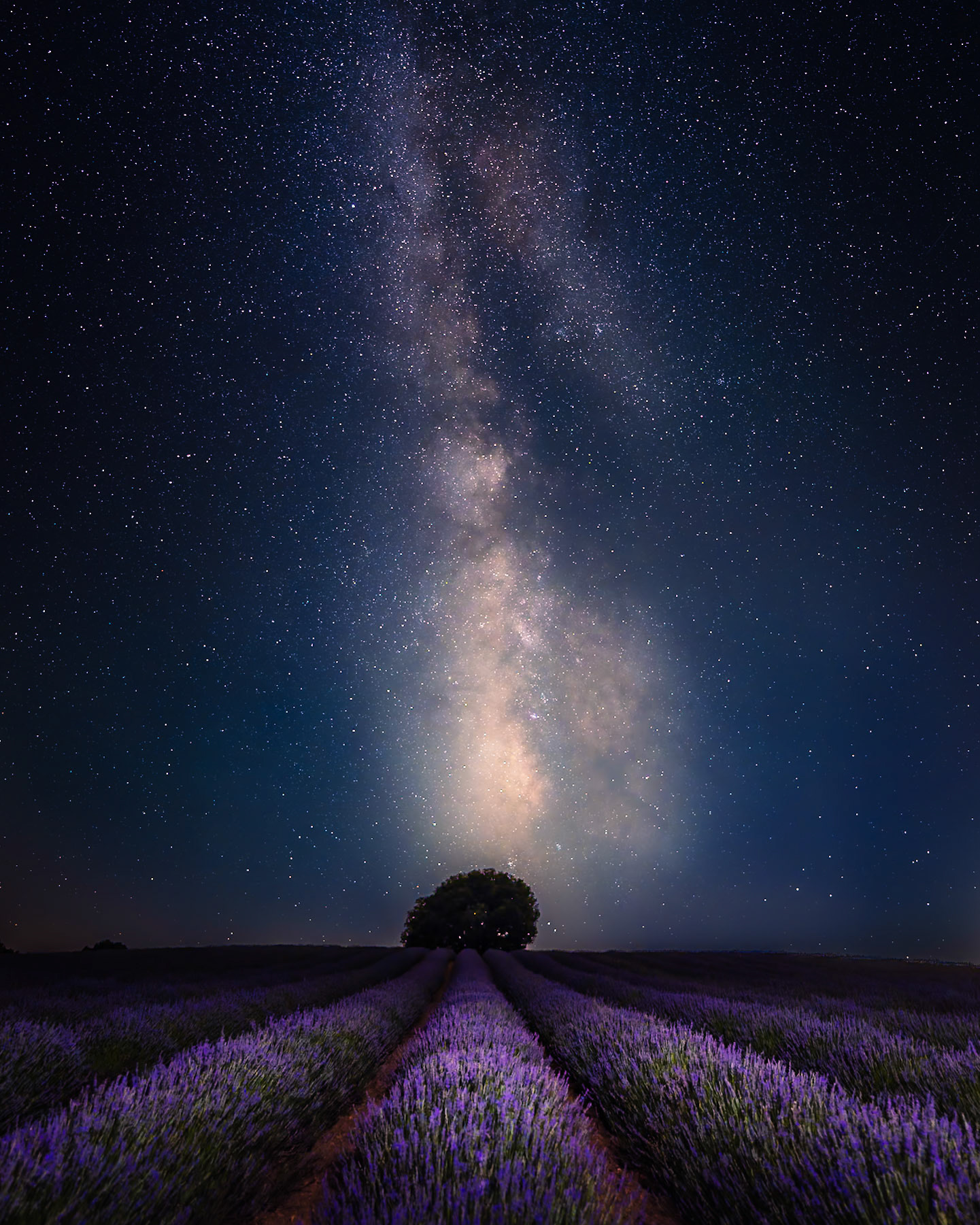 Brihuega - Lavender Radiance (5:4)