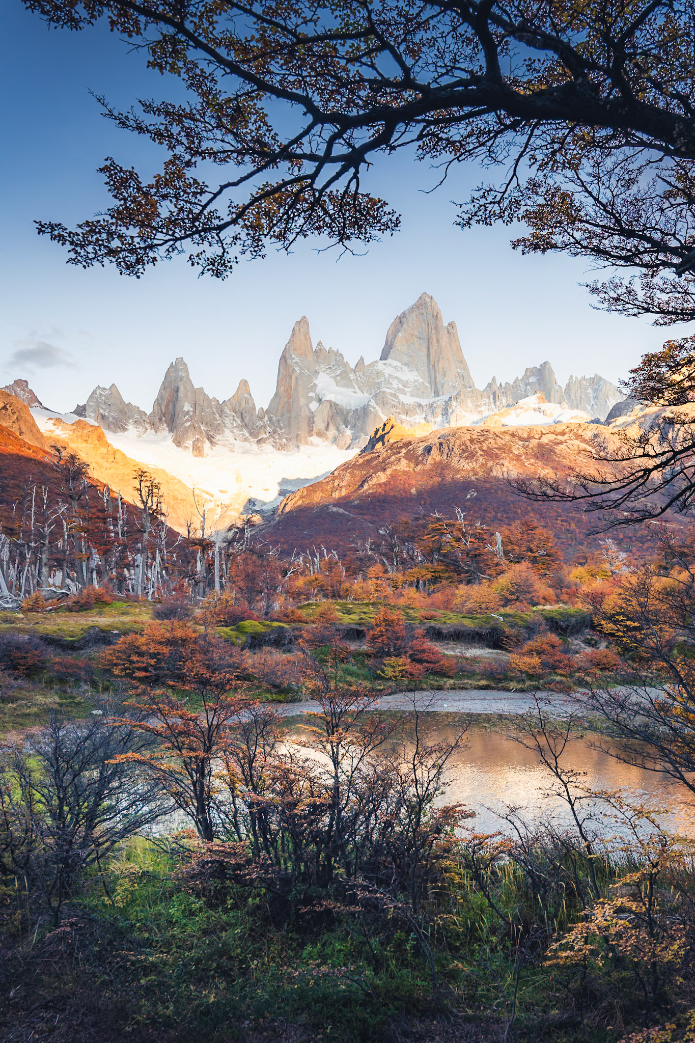 Fitz Roy - Branch Canopy (3:2)