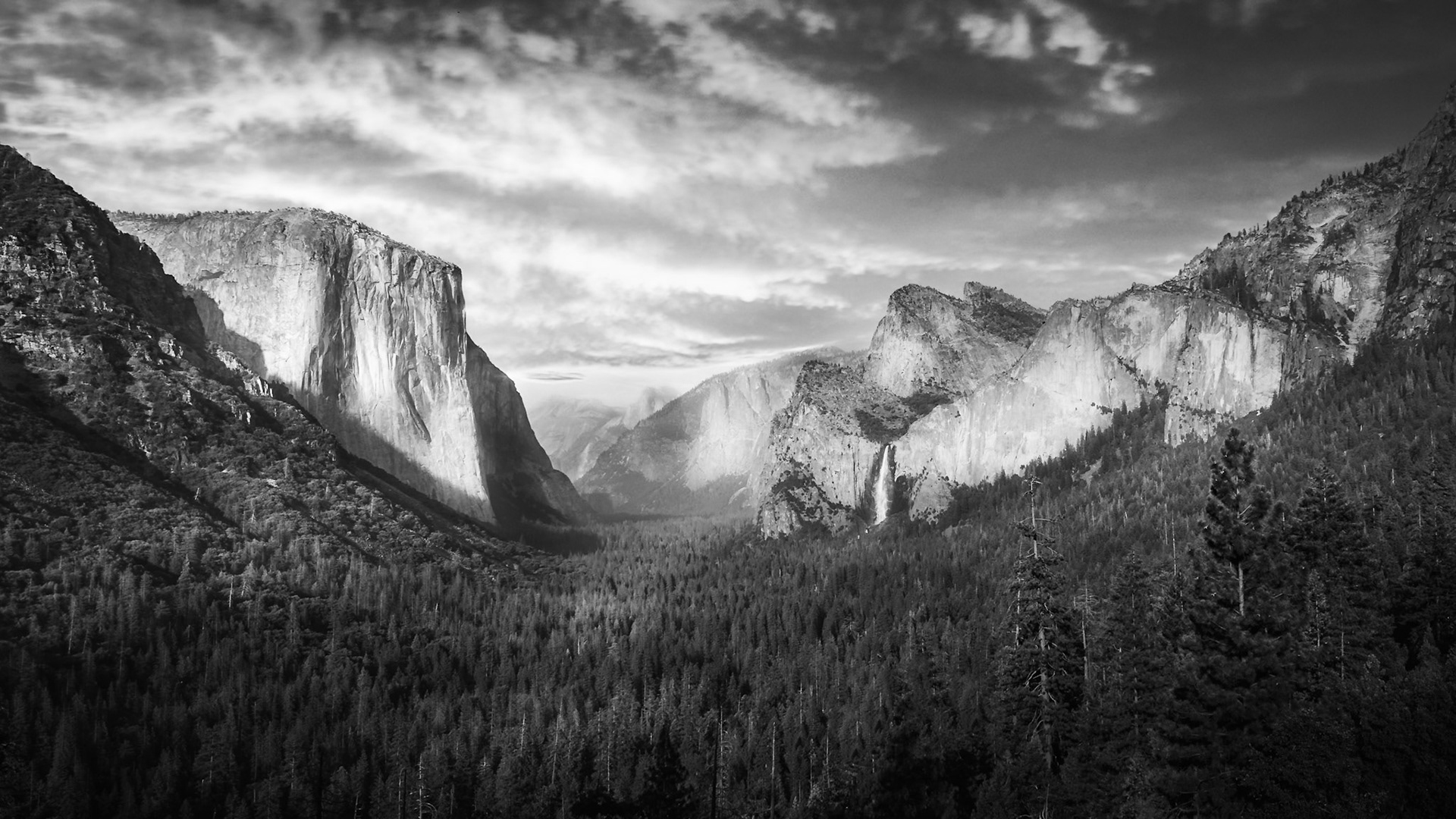 Yosemite Valley - Vertical Field (9:16)