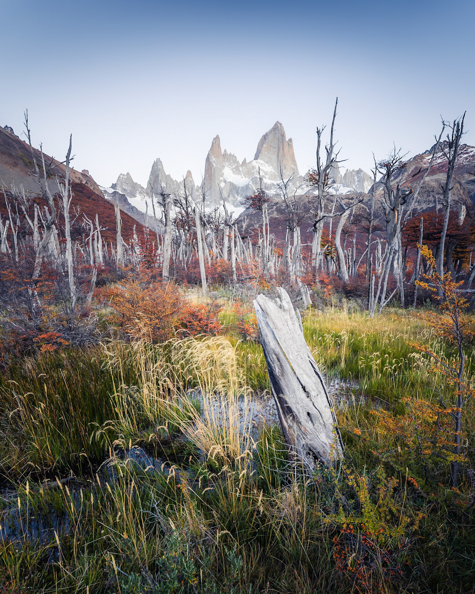 Fitz Roy - Marshland Remains (5:4)