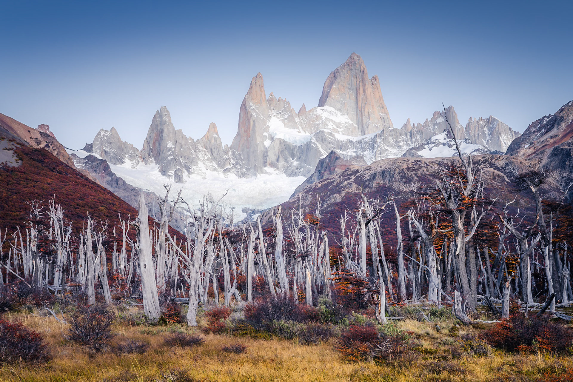 Fitz Roy - Ghost Timber (2:3)