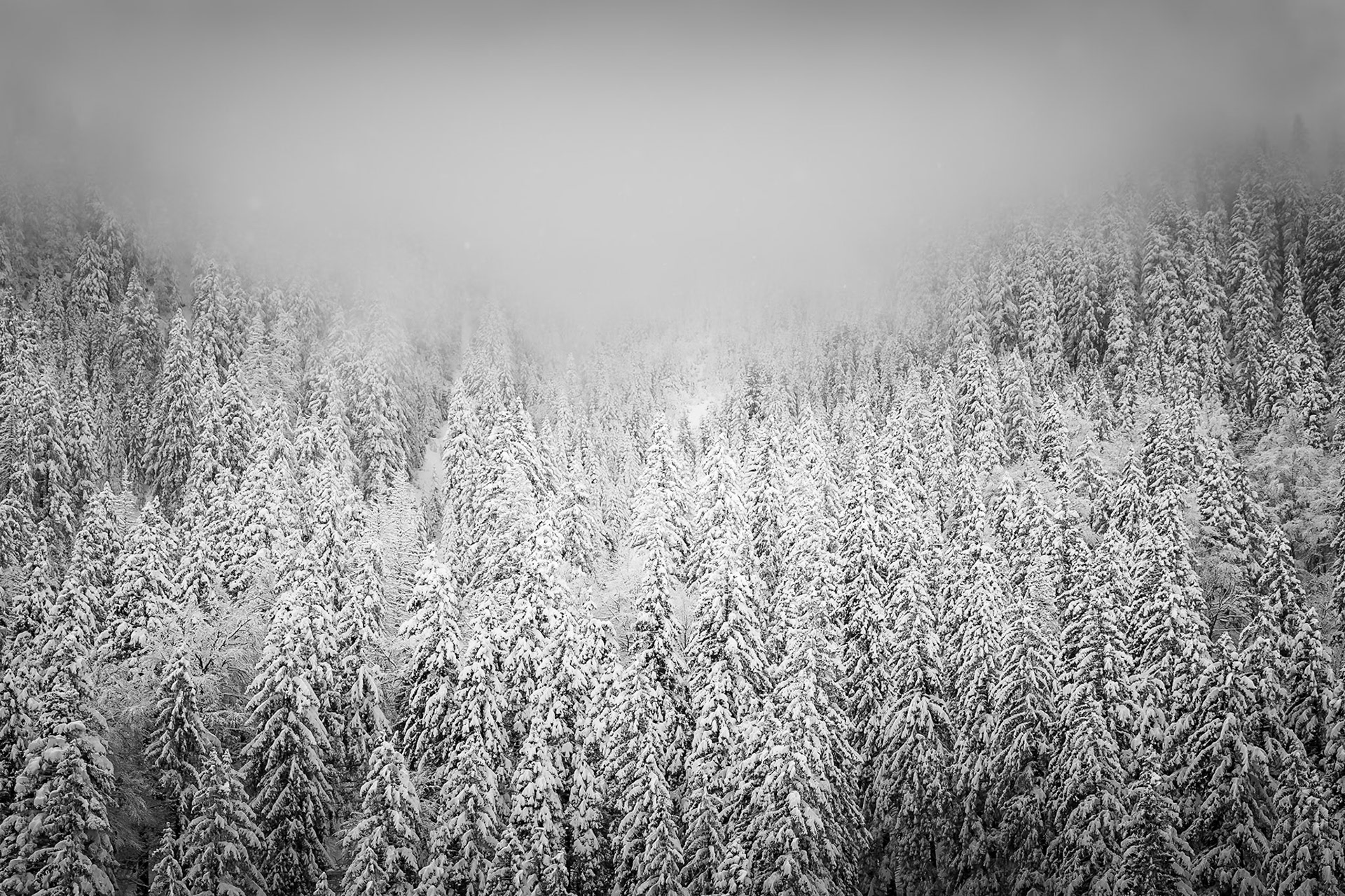 Transfagarasan - Crowded Loneliness (3:2)