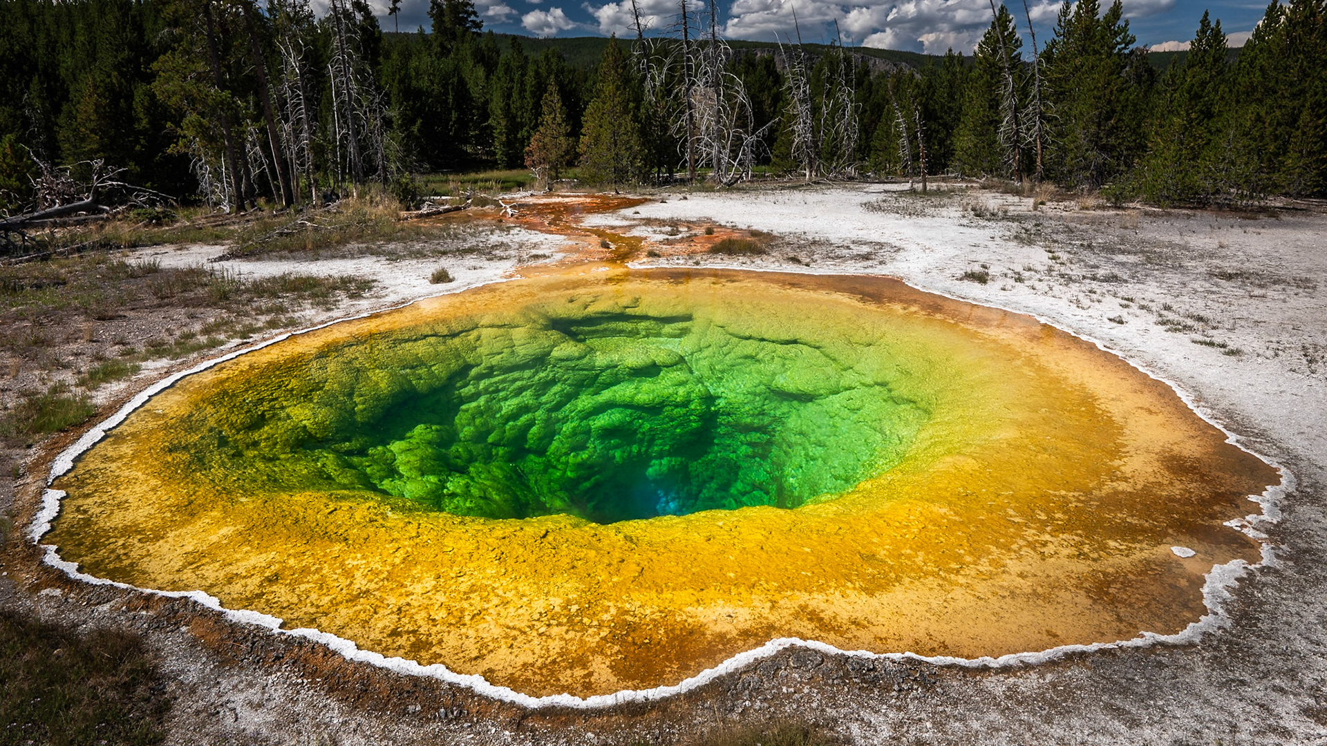 Yellowstone - Morning Glory Pool (9:16)