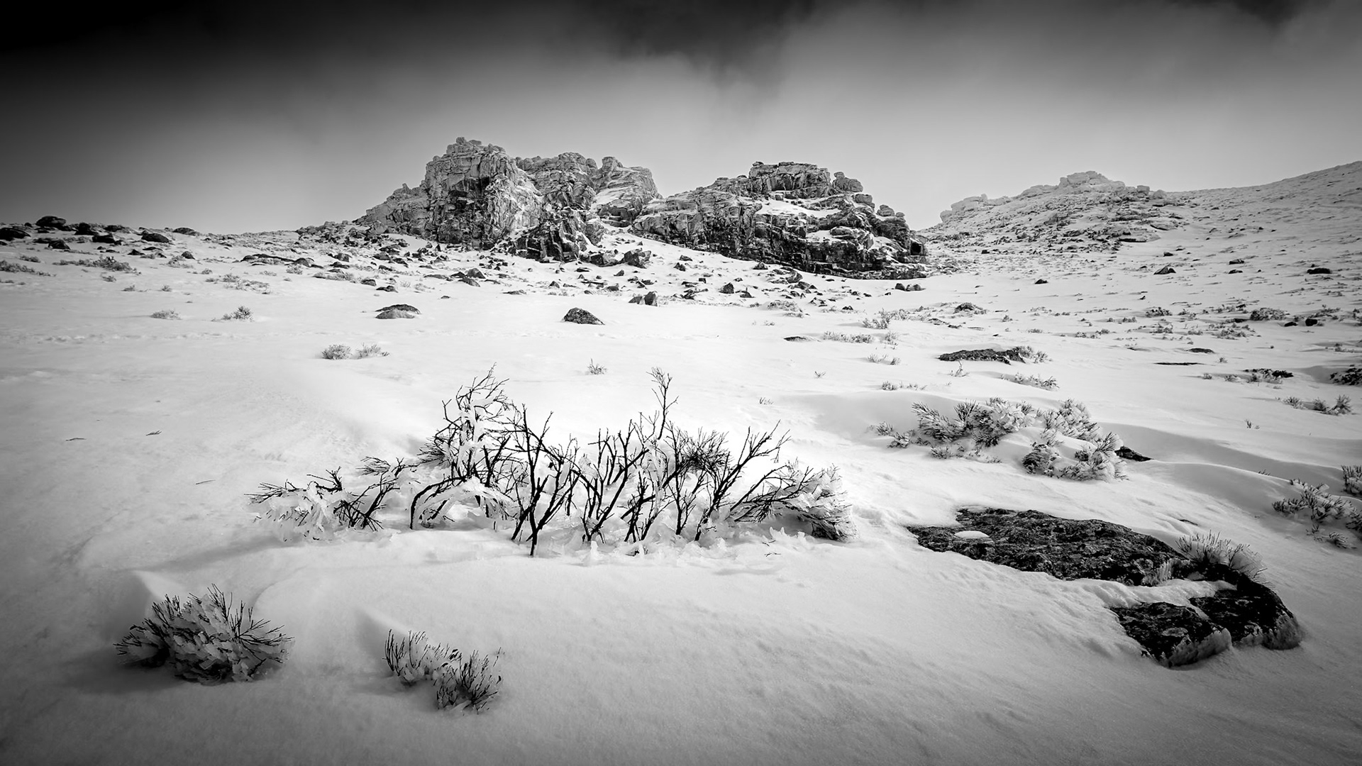 La Morcuera - Waiting for Spring (16:9)