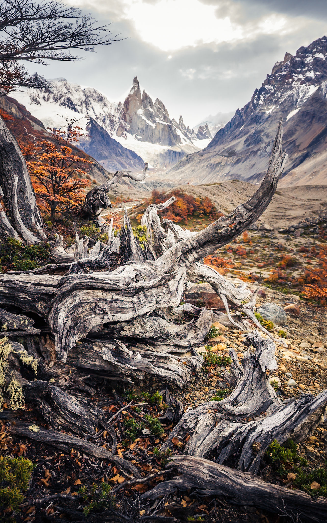 Cerro Torre - Weathered Remains (3:2)