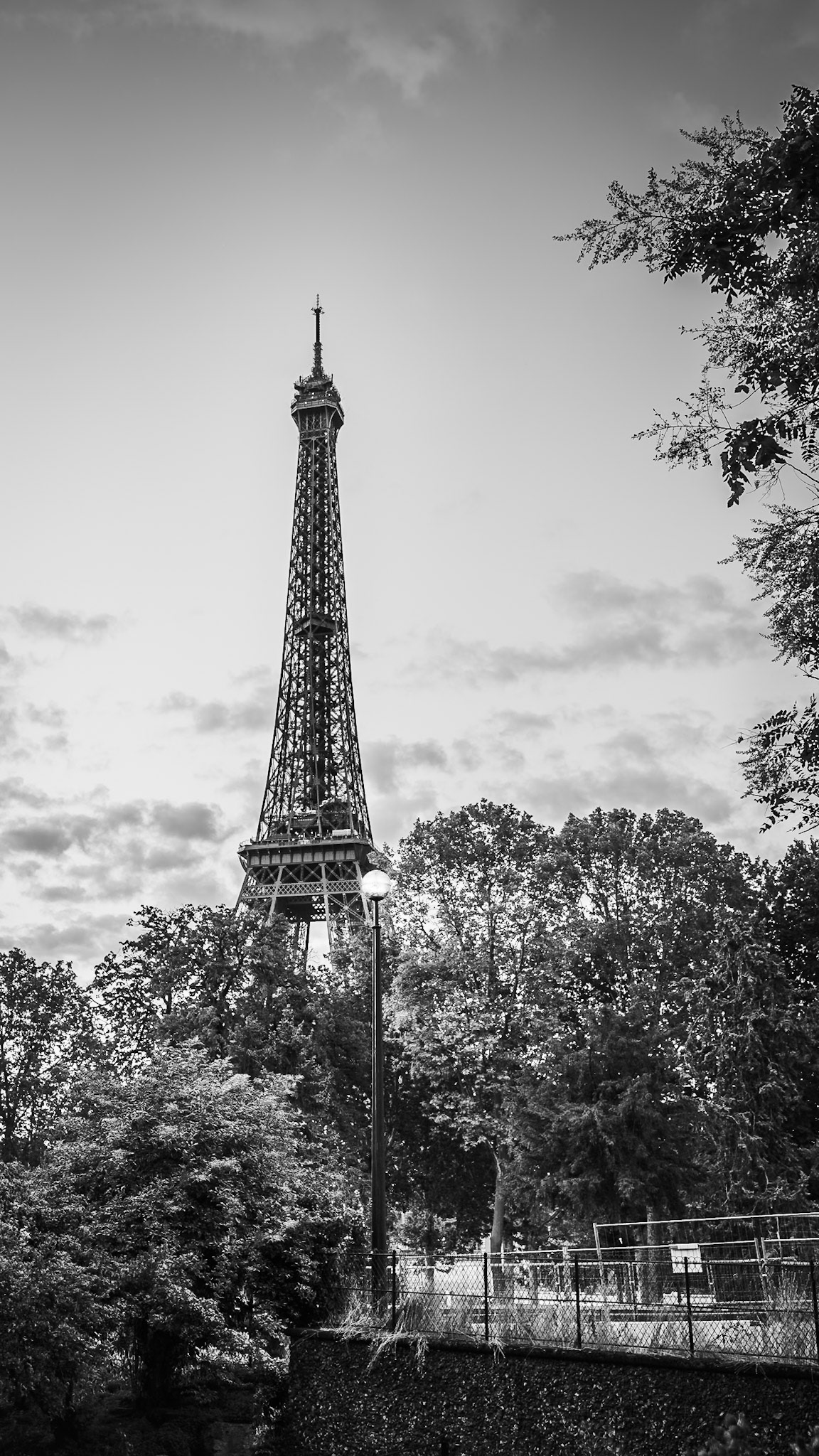 Paris - Beyond the Trees (16:9)