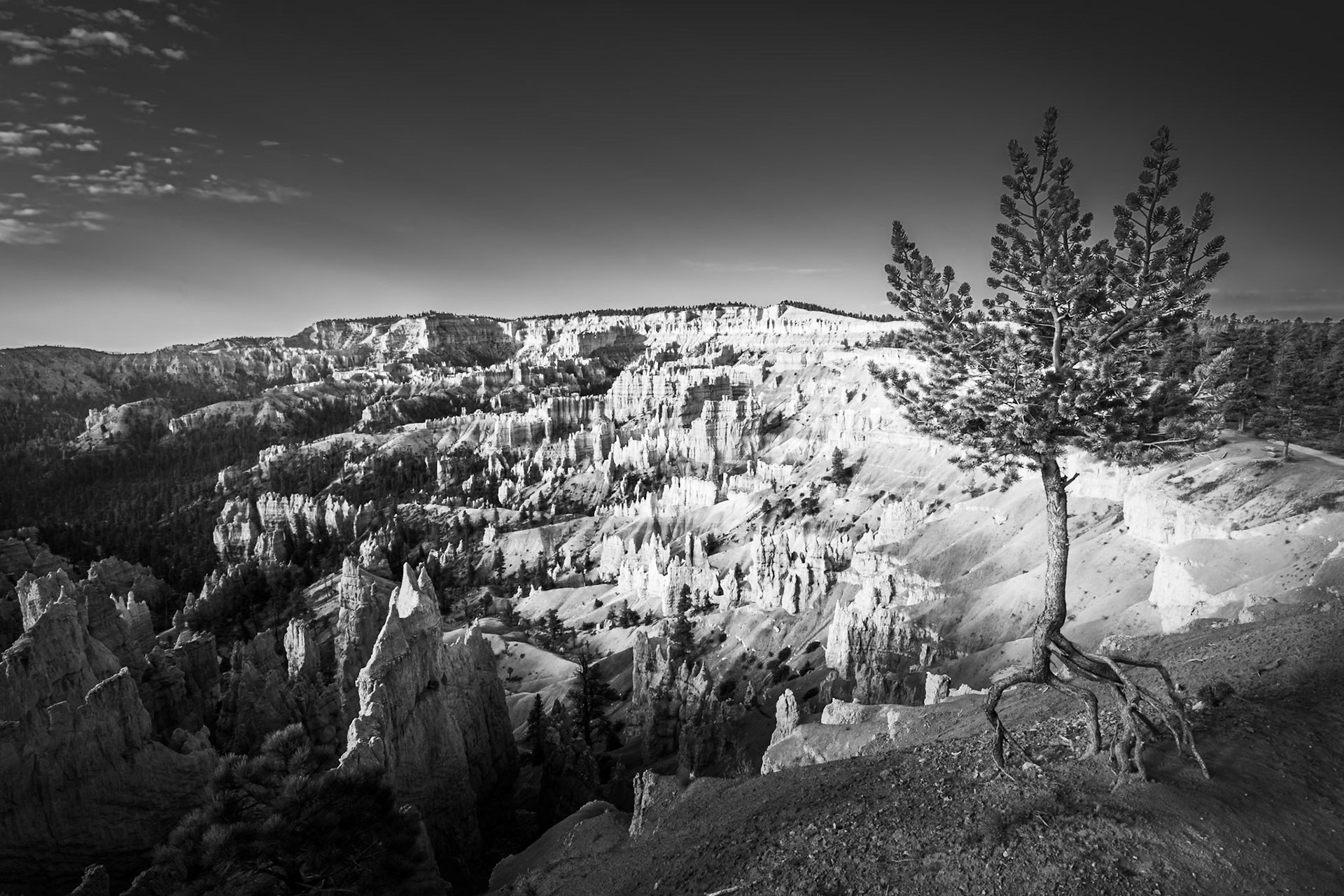 Bryce Canyon - On Tiptoes (2:3)