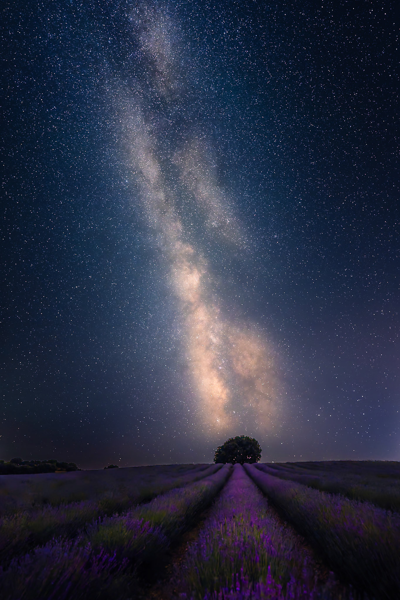 Brihuega - Lavender Silence (16:9)