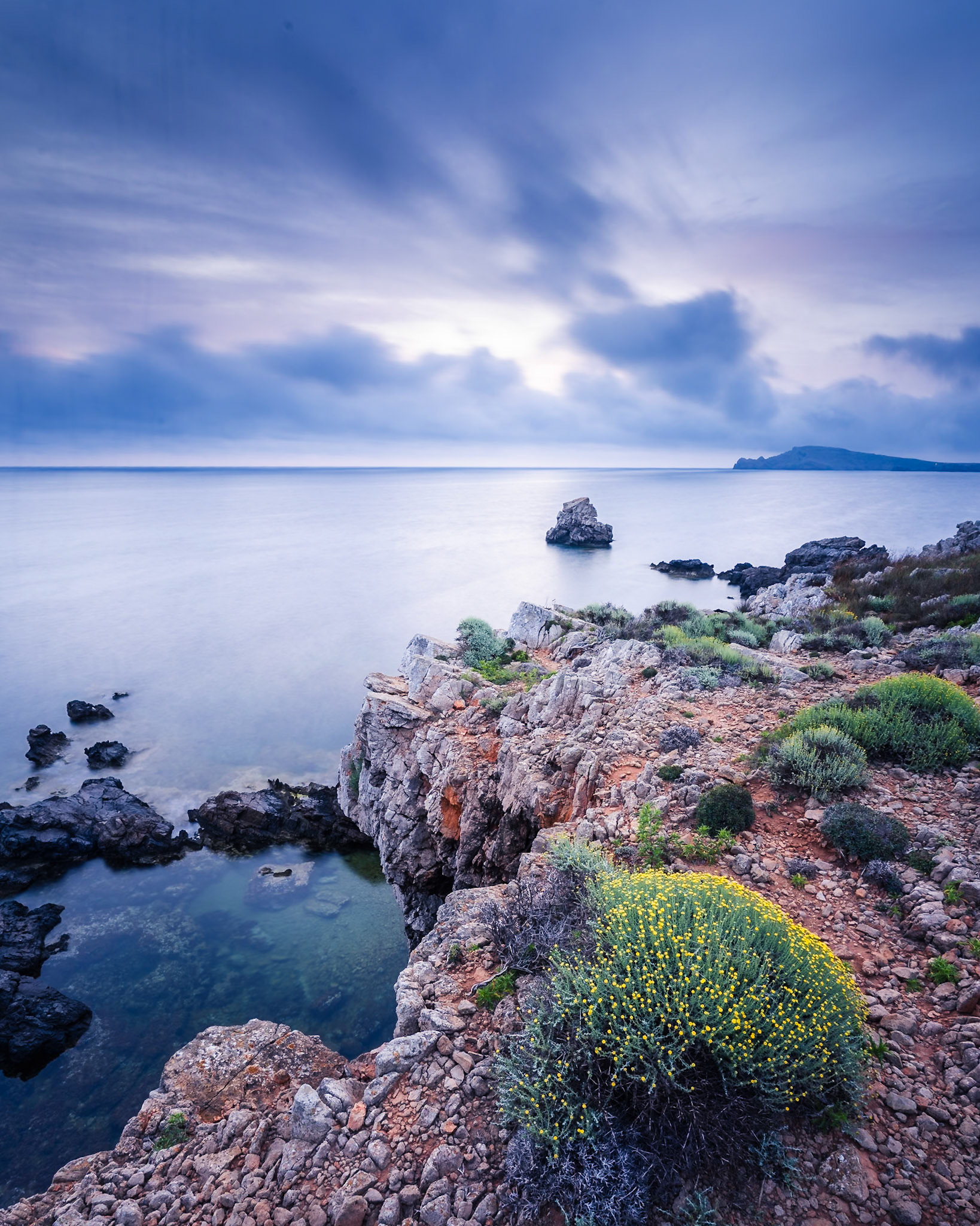 Cap de Cavalleria - Flowers Above the Ledge (5:4)