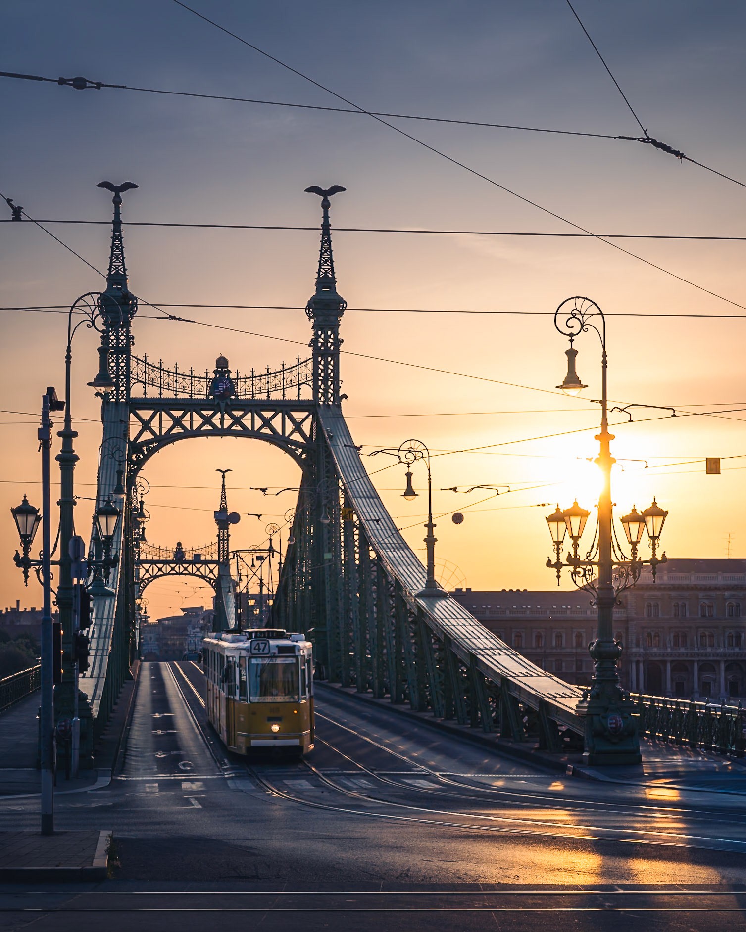 Budapest - Lines of Transit (5:4)