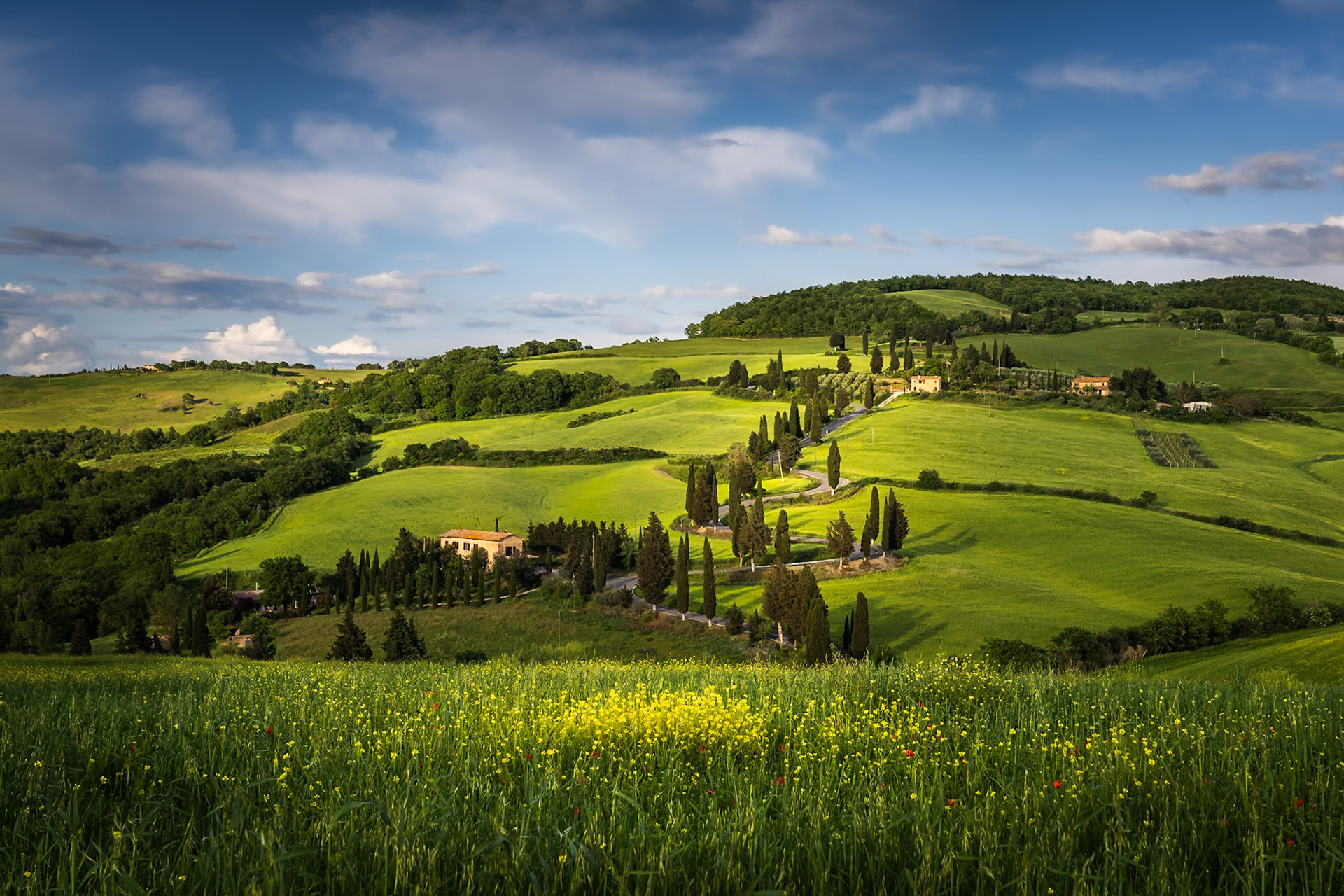 Tuscany - Path Up the Hill (2:3)