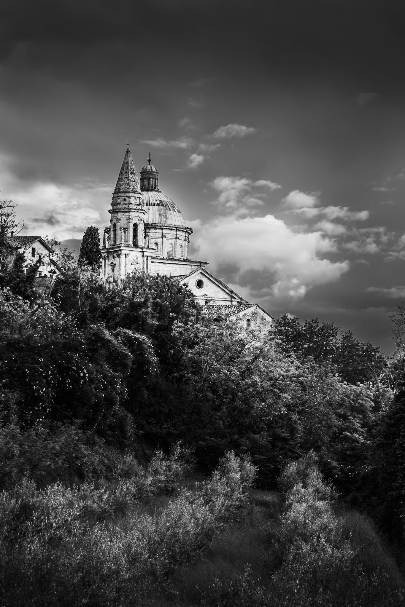 Montepulciano - Basilica Through the Trees (3:2)