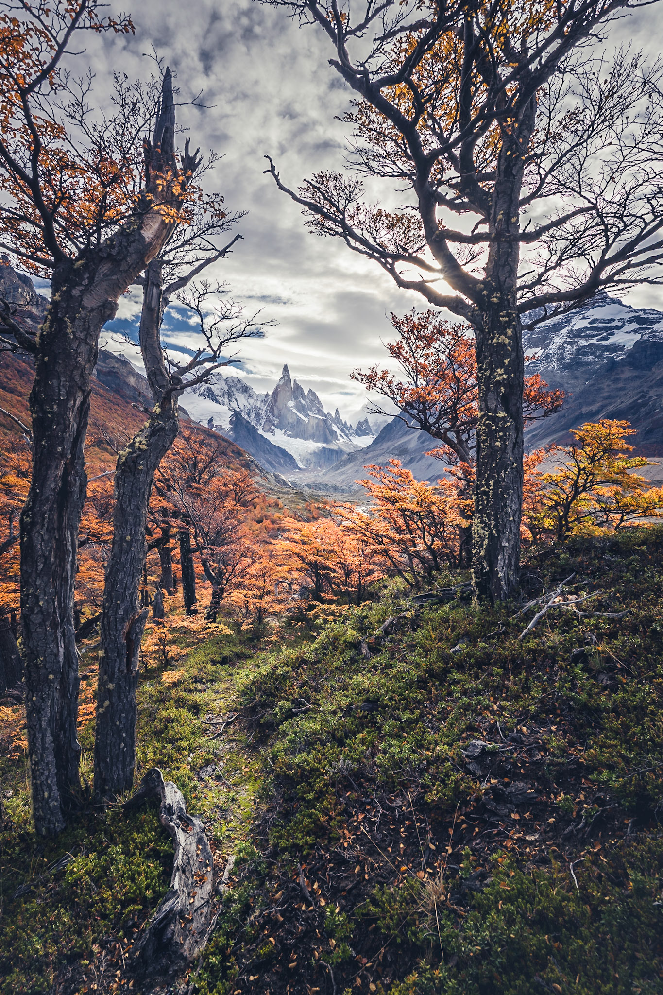 Cerro Torre - Threshold to Cerro Torre (3:2)