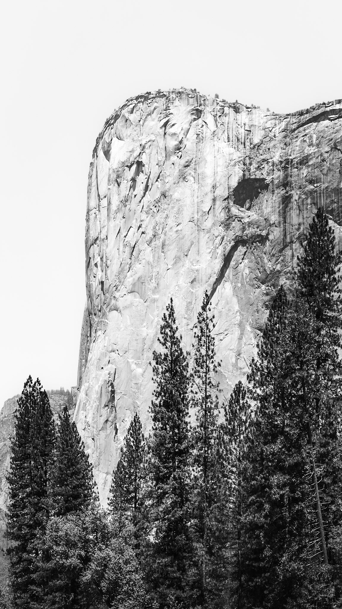 El Capitan - Compressed Face (16:9)