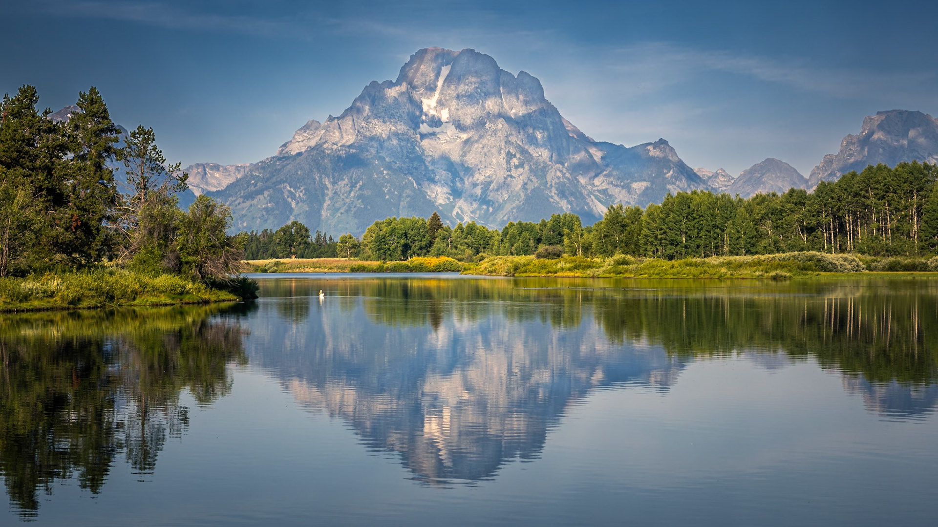 Grand Teton - Calm Reflection with Pelican (16:9)
