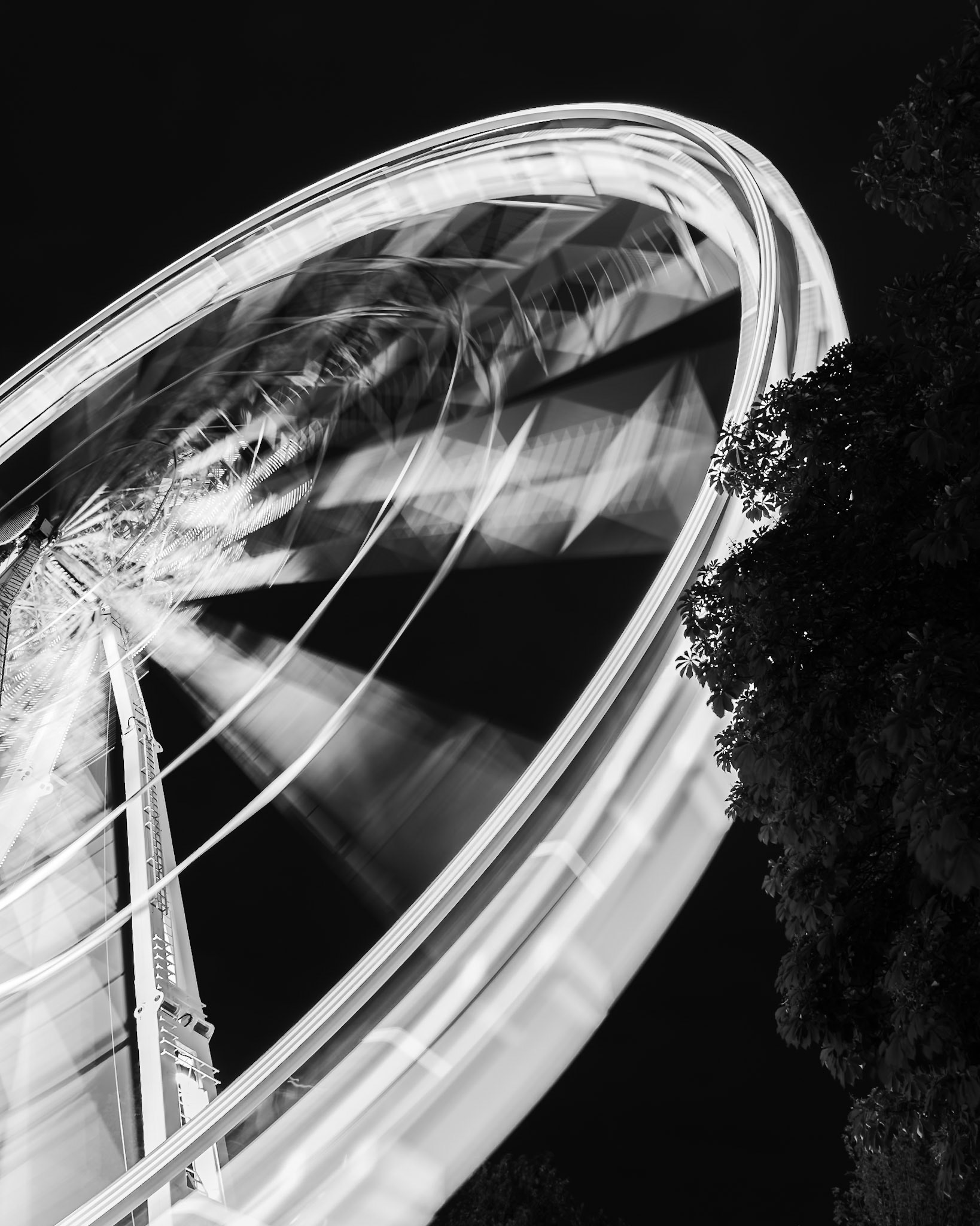 Budapest - Spinning eel (5:4)