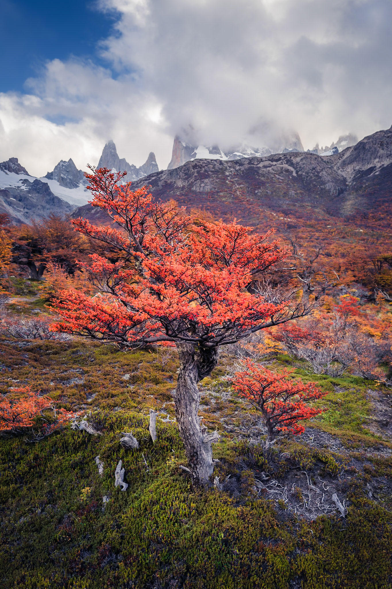 Fitz Roy - Red Figure (3:2)
