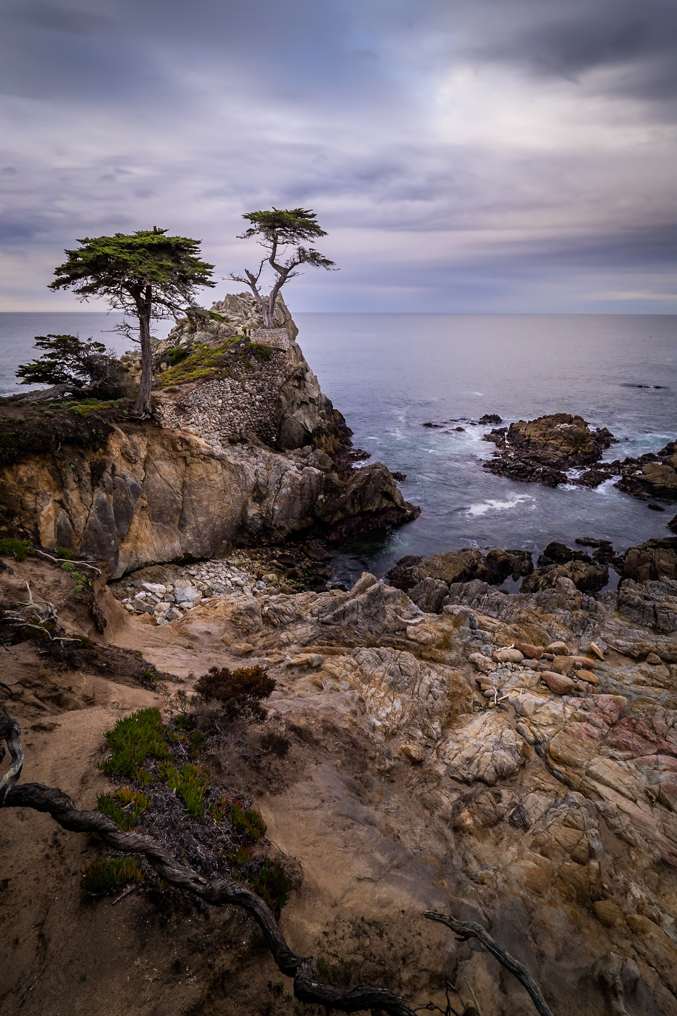 Lone Cypress - Survival Against All Odds (3:2)