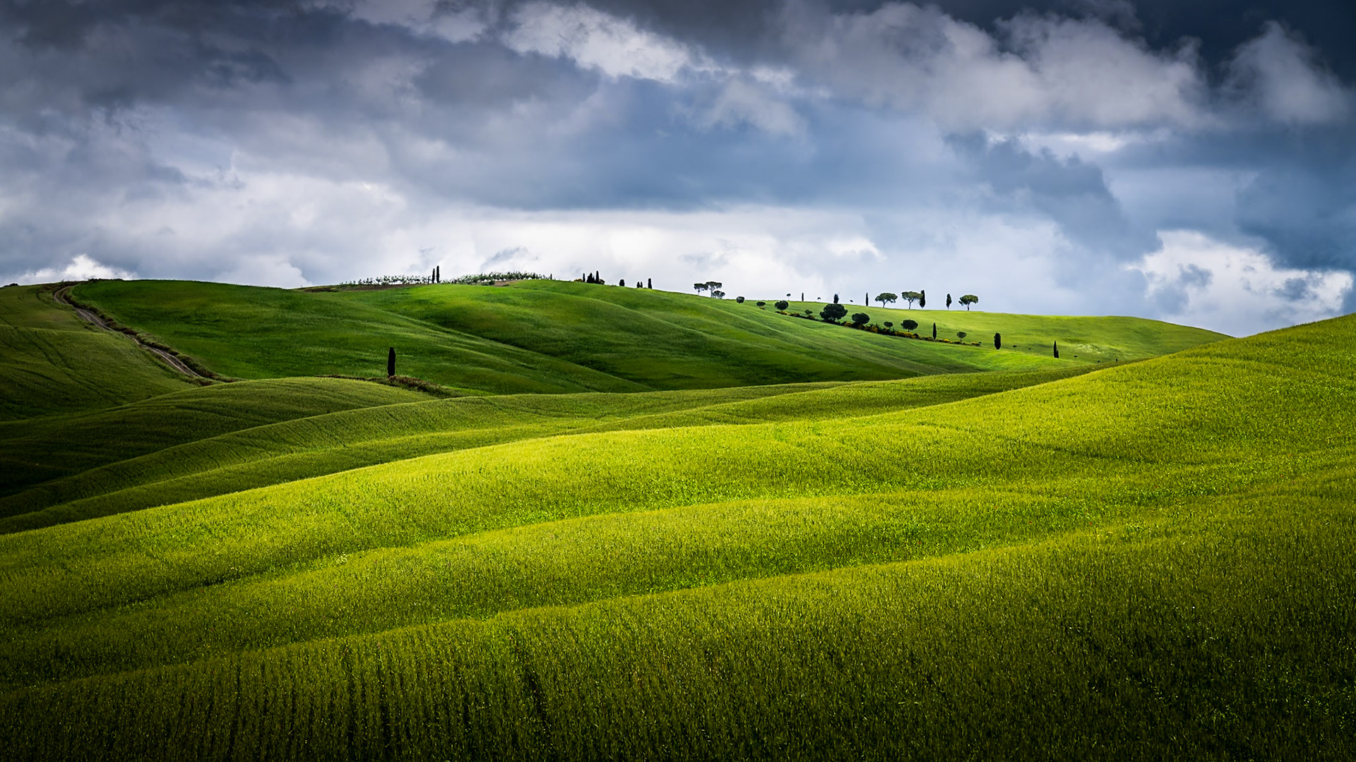 Tuscany - Rolling Landscape (9:16)
