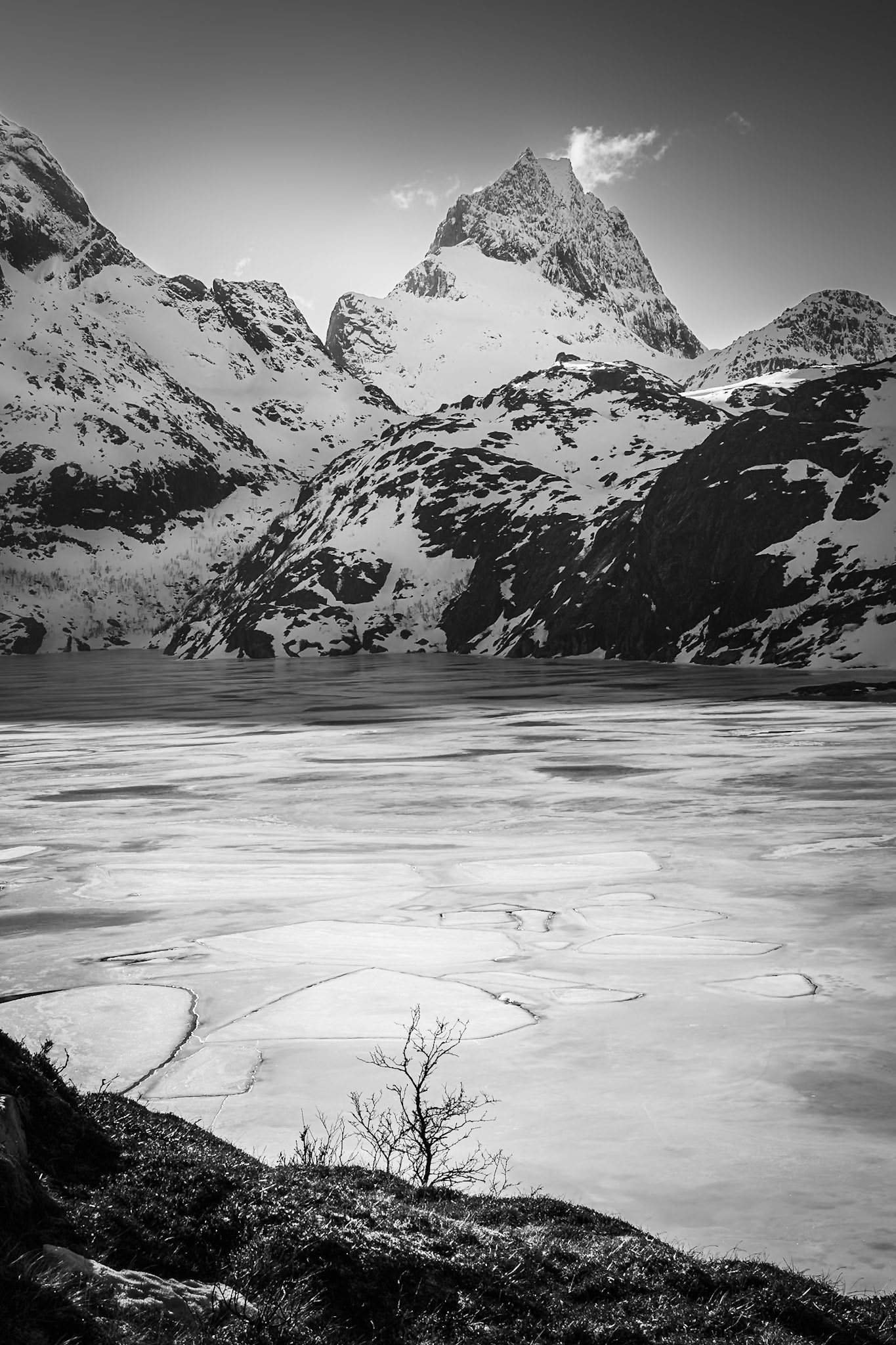 Lofoten - Frozen Field (3:2)