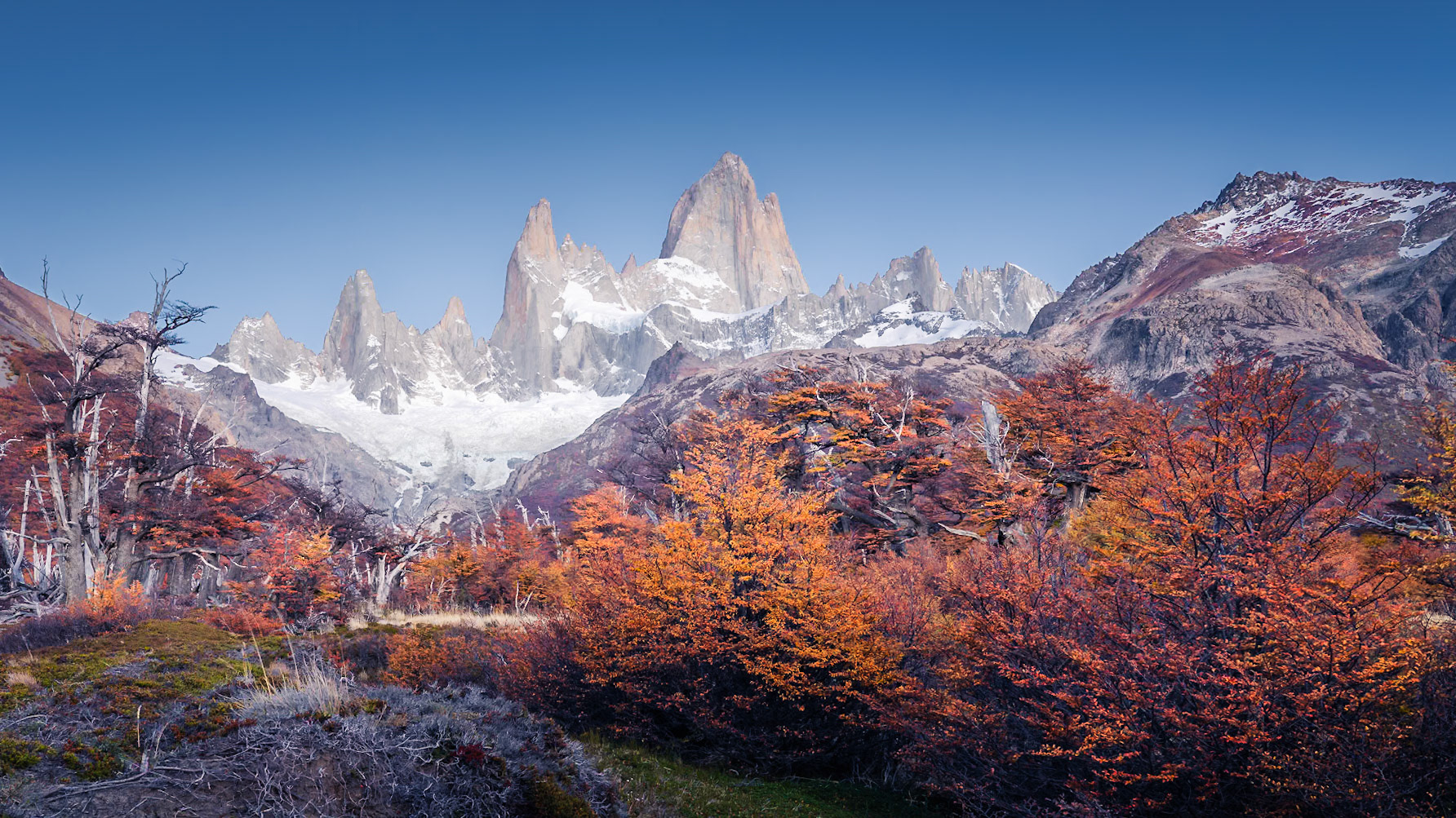 Fitz Roy - Pale Undergrowth (9:16)