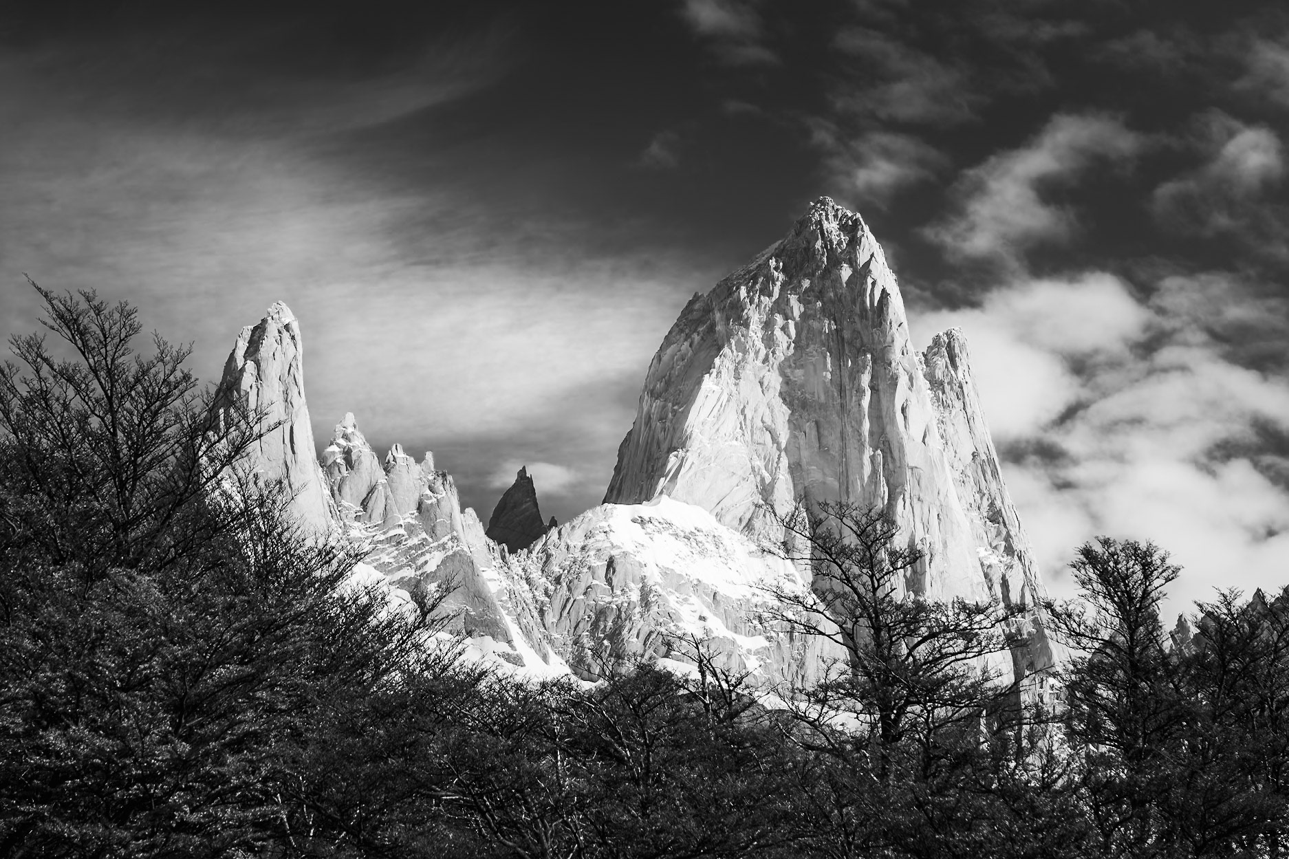 Fitz Roy - Granite Above the Canopy (2:3)