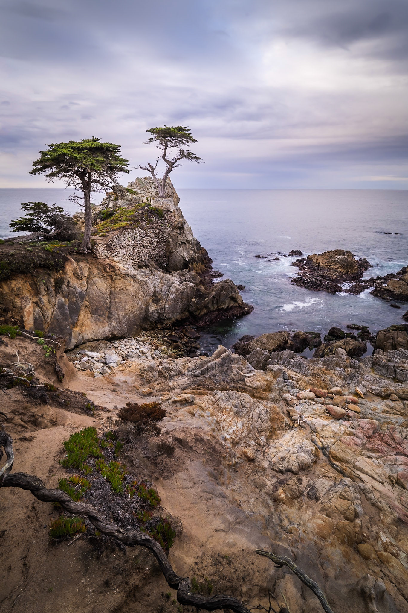 Lone Cypress - Survival Against All Odds (3:2)