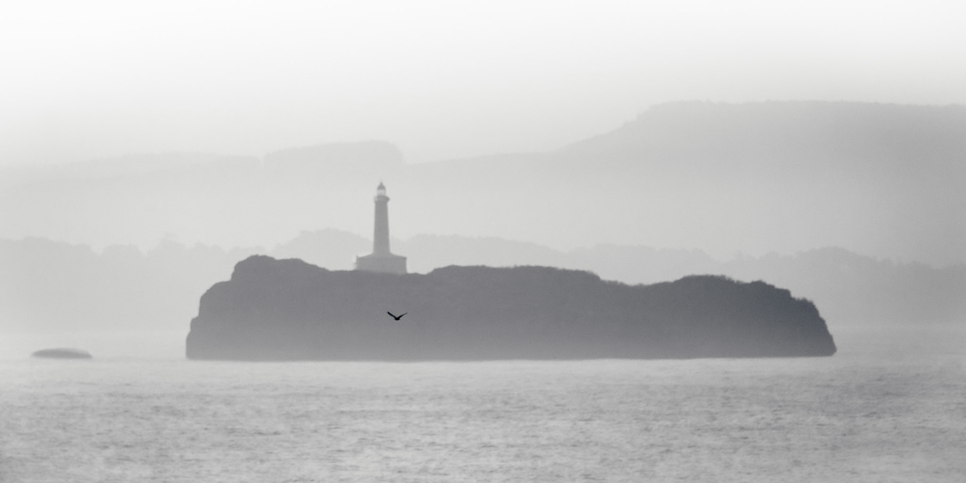 Mouro Island Lighthouse - Seagull in a Foggy Morning (2:1)