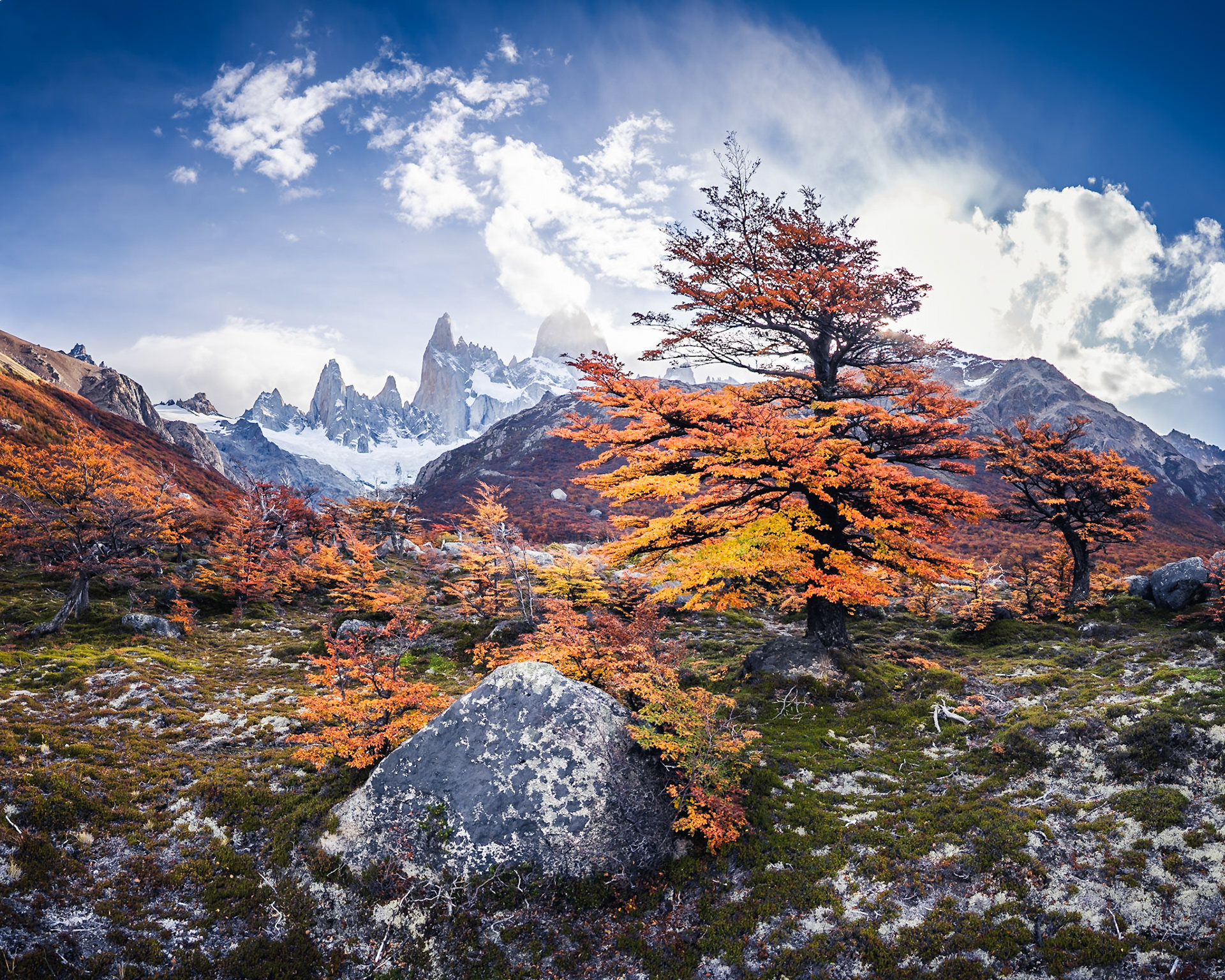 Fitz Roy - Luminous Canopy (4:5)