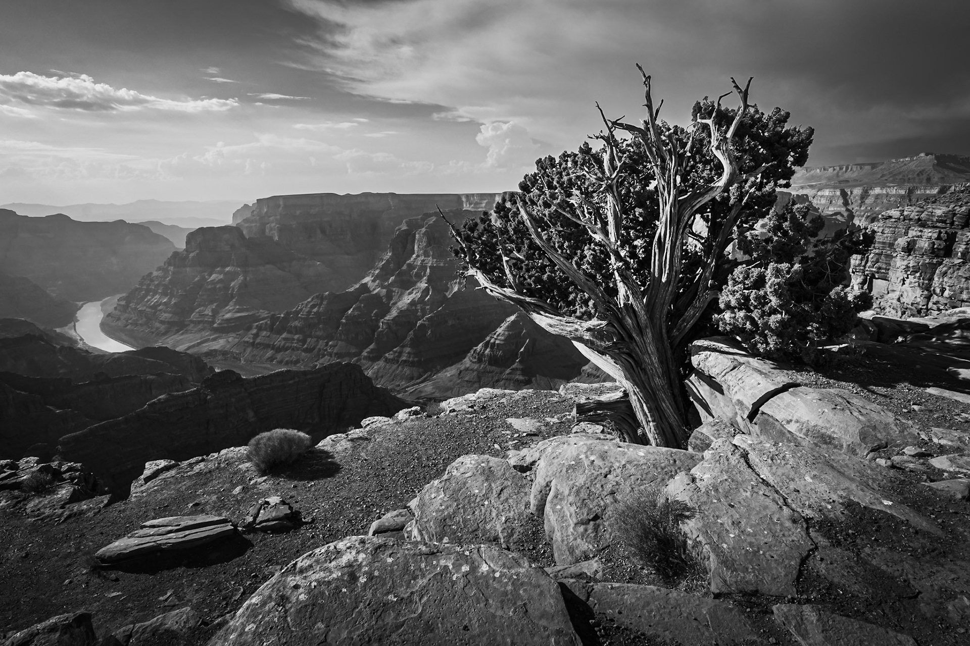 Grand Canyon - Surviving on the Edge (2:3)