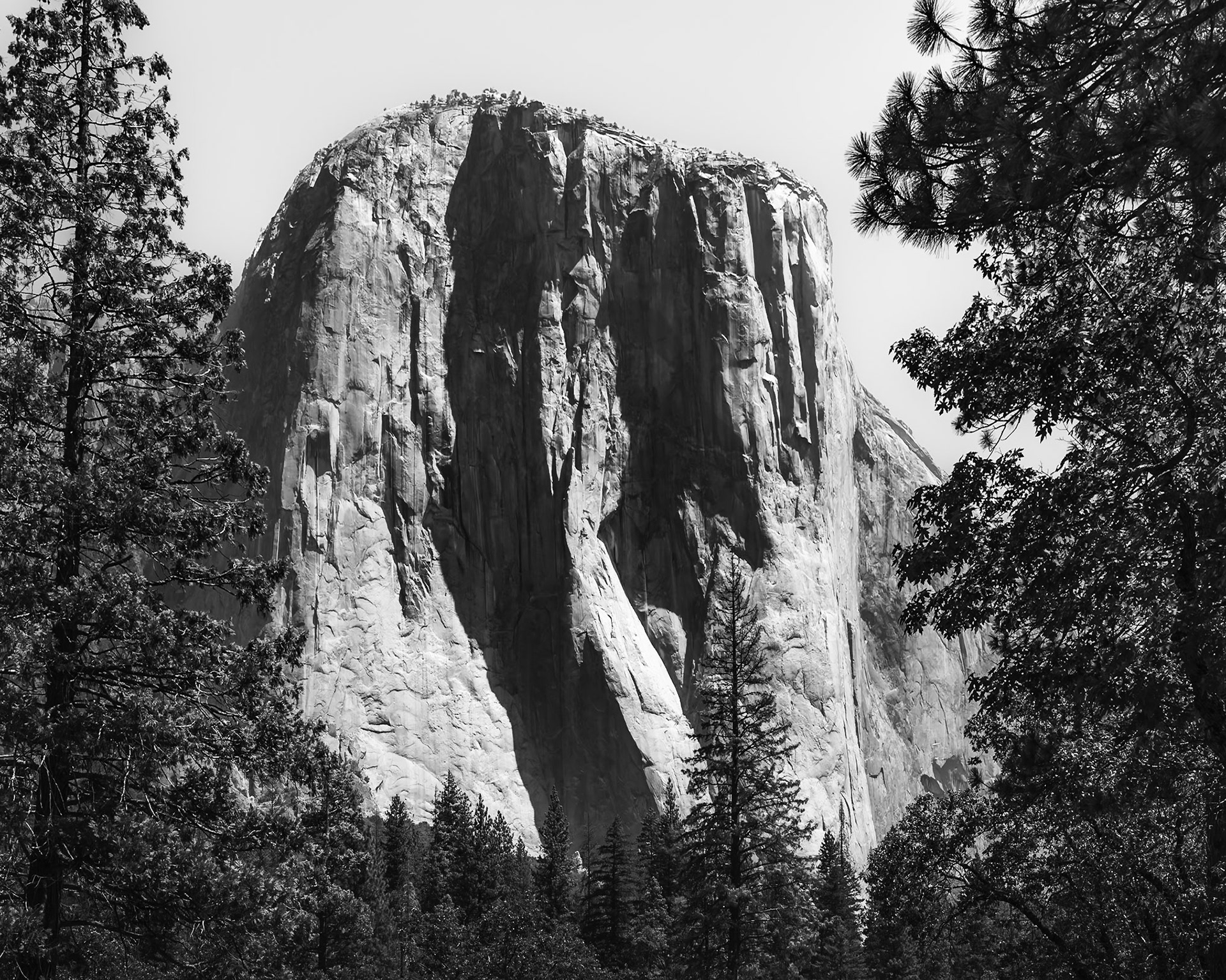 El Capitan - Frontal Mass (1:1)