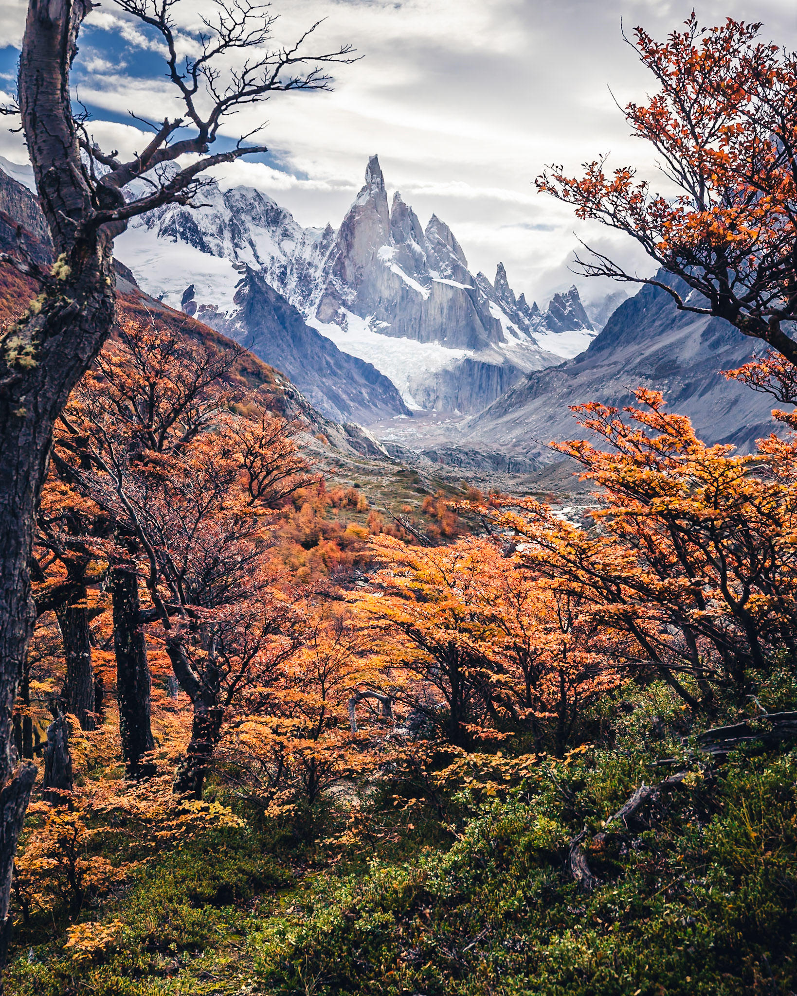 Cerro Torre - Ember Forest (5:4)