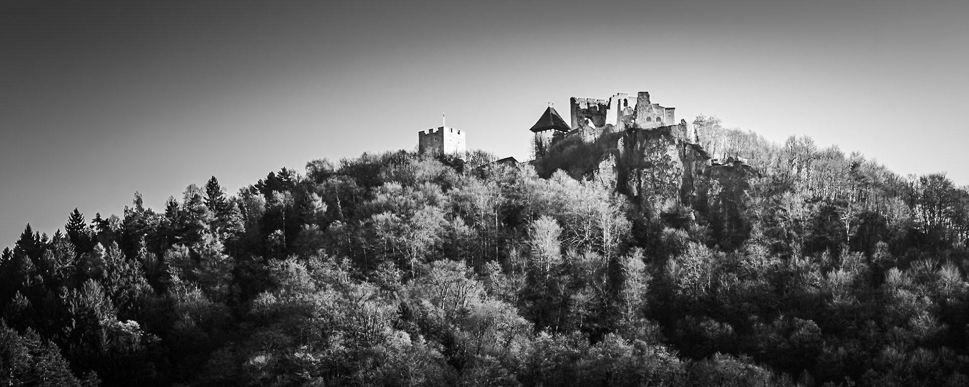 Celje - Command from the Heights (1:2.5)