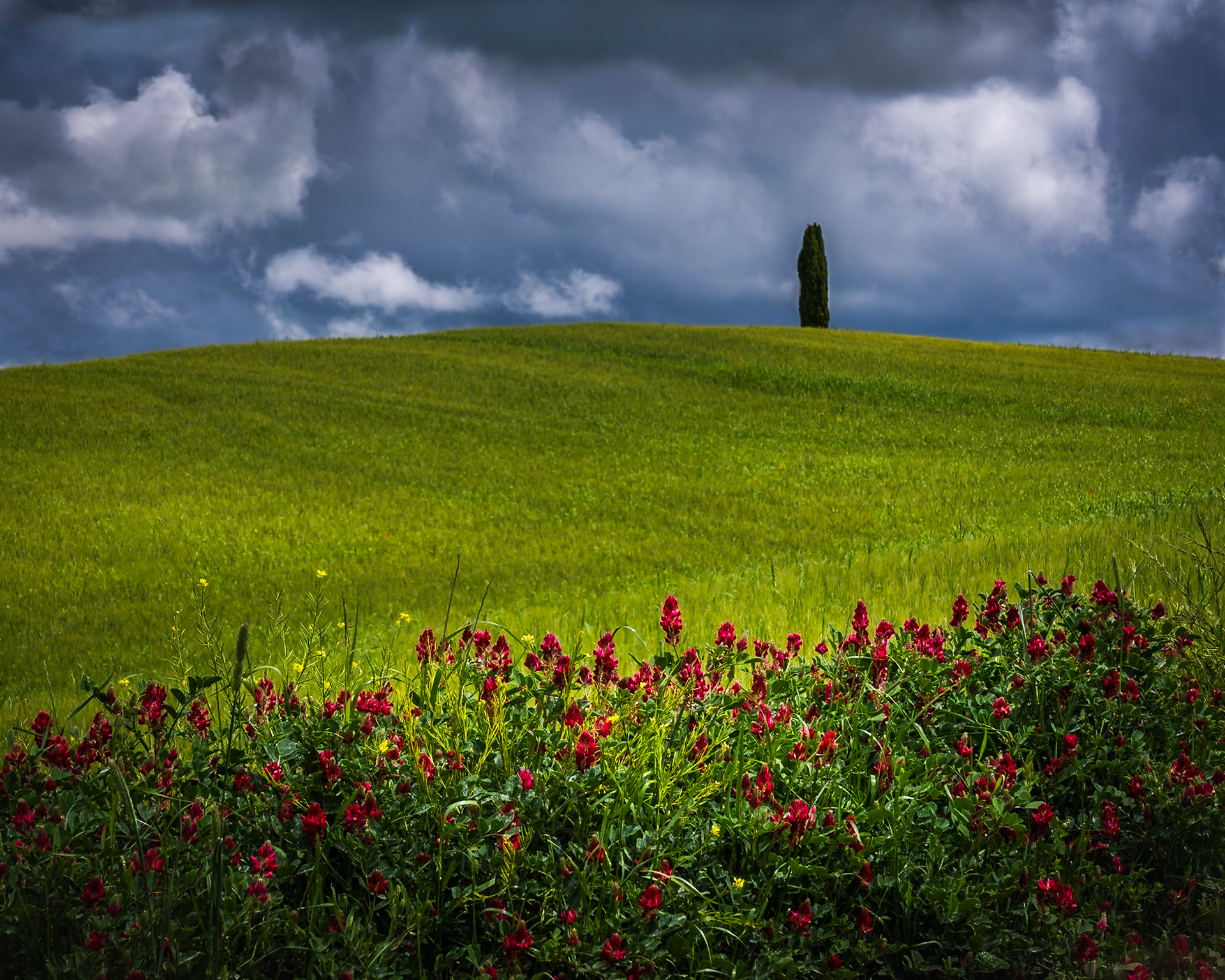 Tuscany - Before the Storm (4:5)