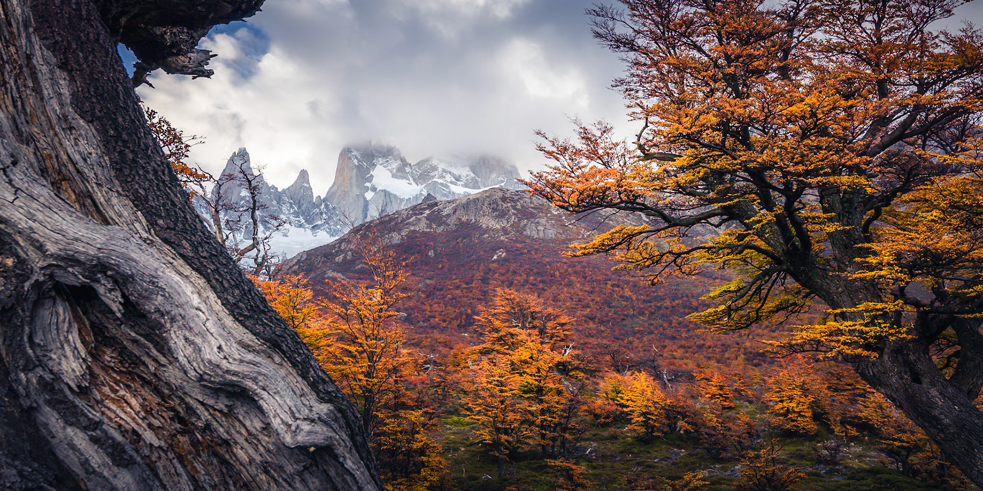Fitz Roy - Concealed Summit (1:2)