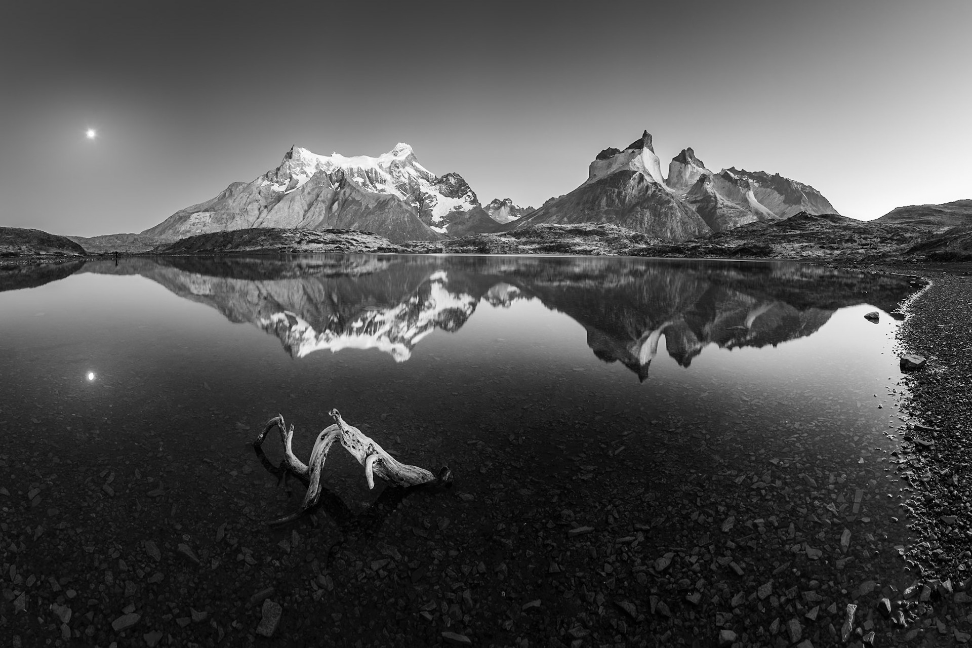 Torres del Paine - Driftwood Reflection (2:3)