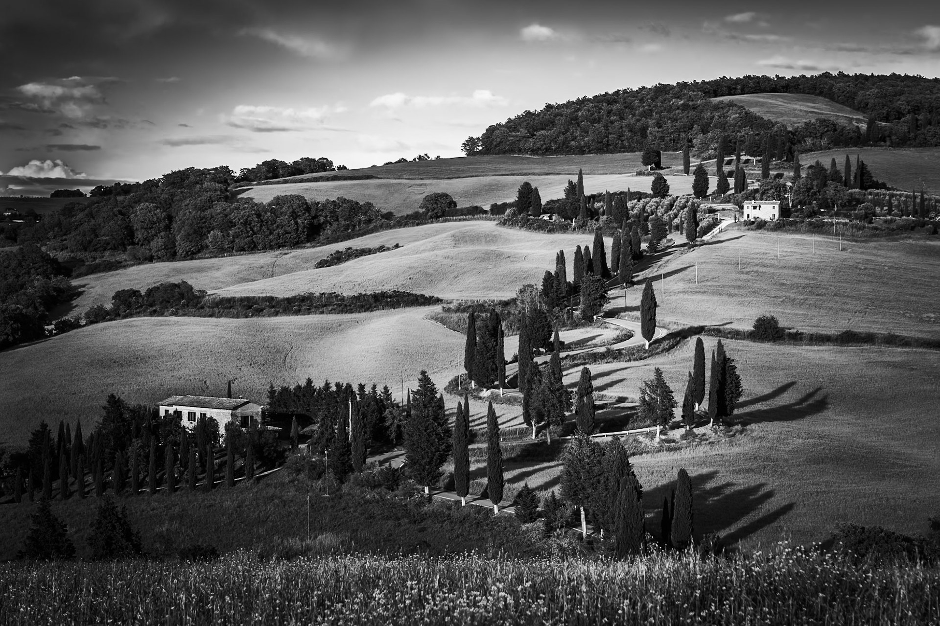 Tuscany - Winding Through the Hills (2:3)