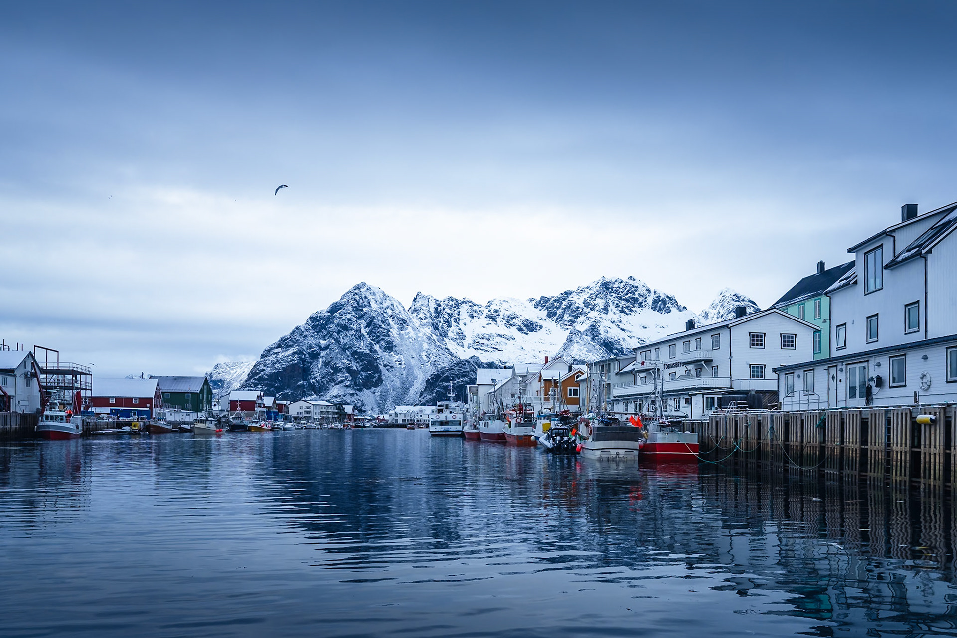 Henningsvær - Harbor Field (2:3)