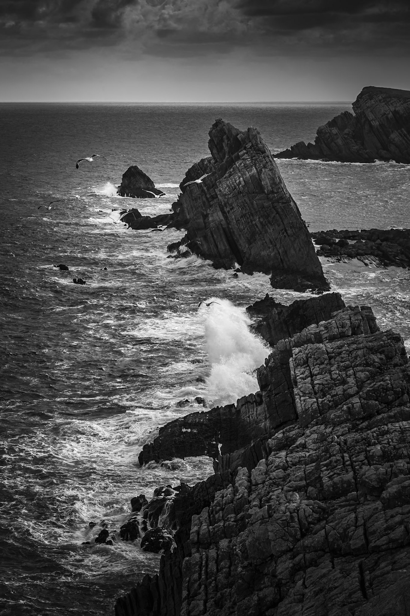 La Arnia - Cliffs and Seagulls in a Windy Morning (3:2)