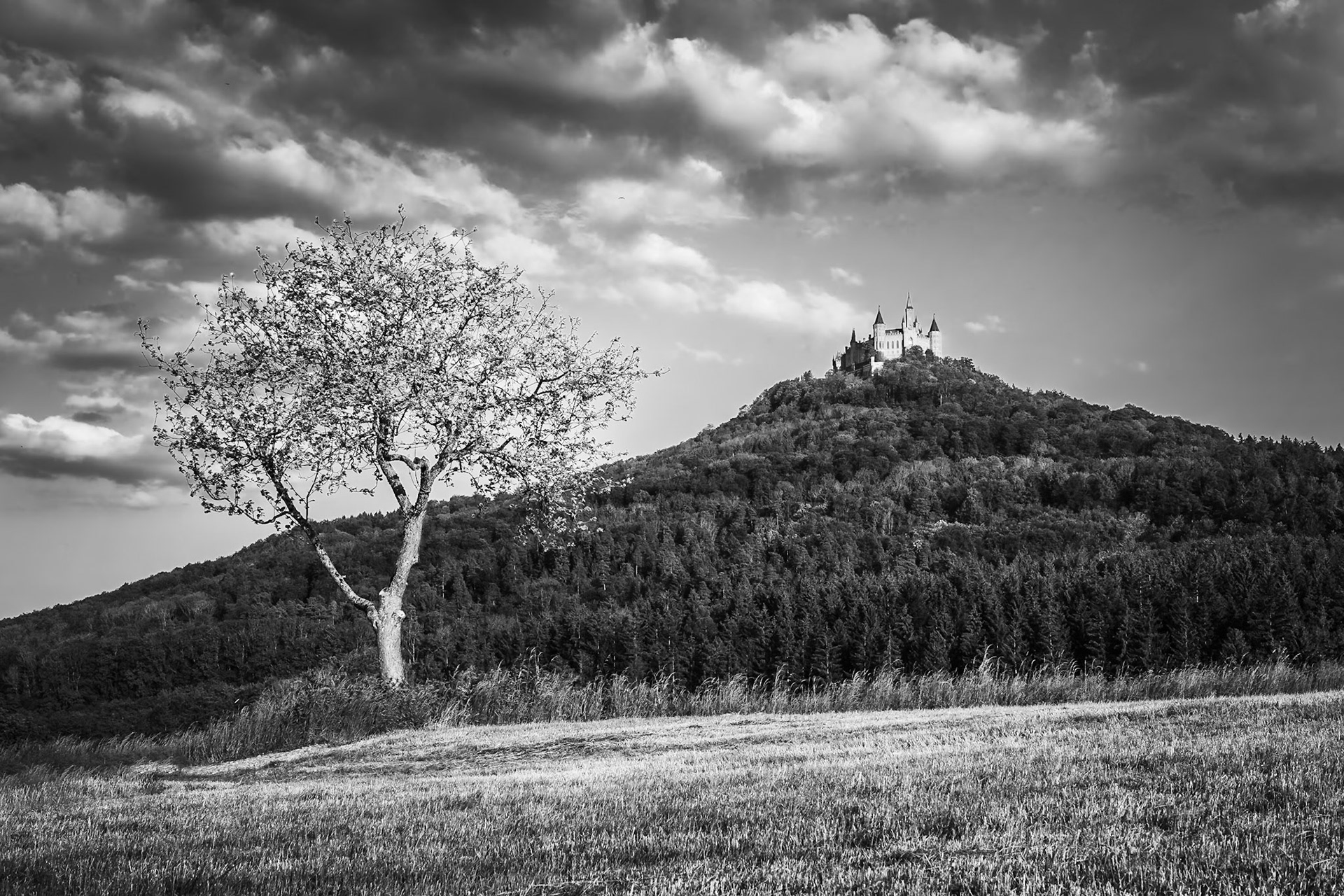 Burg Hohenzollern - Dominion (2:3)