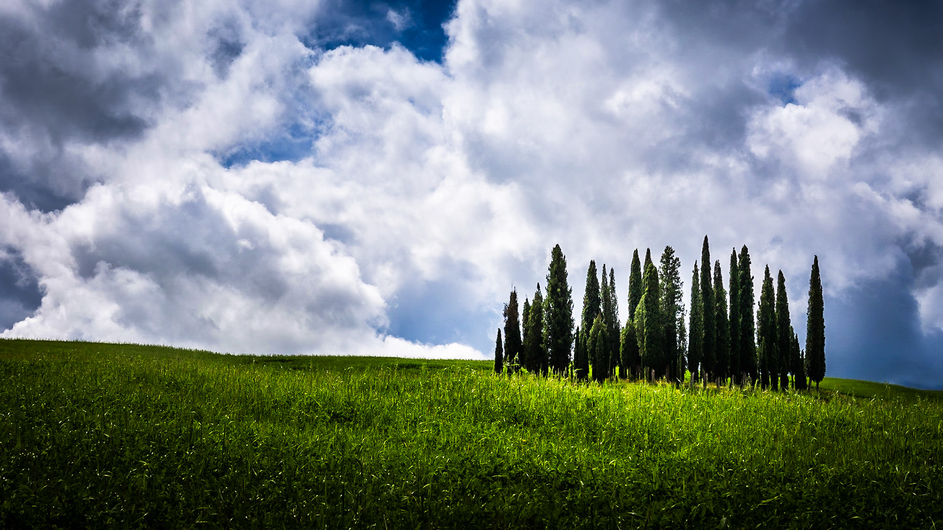 Tuscany - Cypresses (16:9)