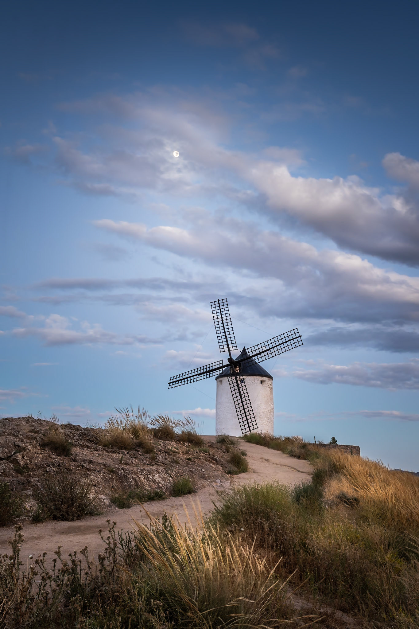 Consuegra - "Giant" under the Moon (3:2)