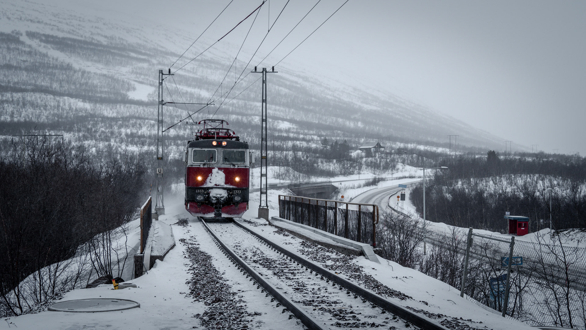 Abisko, (Swedish Lapland)