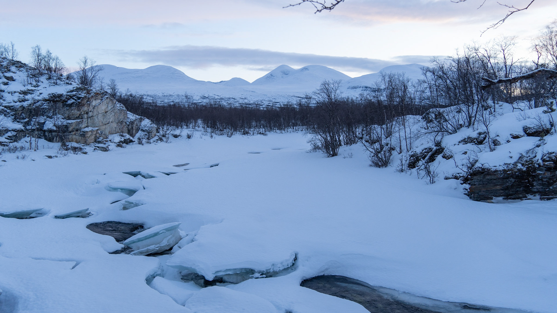 Abisko, (Swedish Lapland)