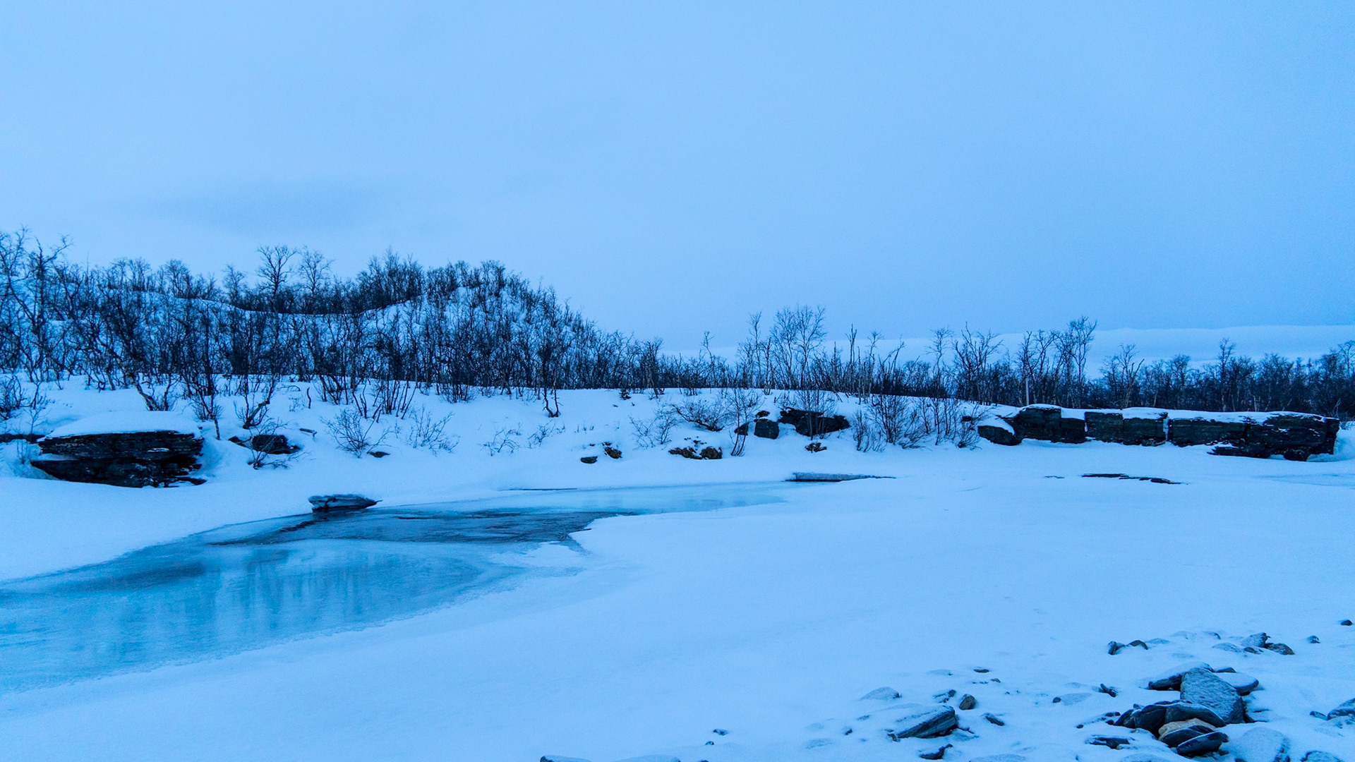 Abisko, (Swedish Lapland)