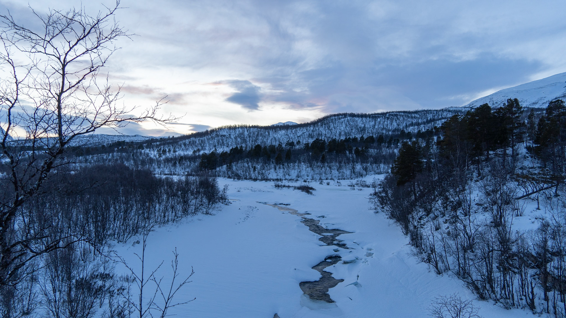 Abisko, (Swedish Lapland)