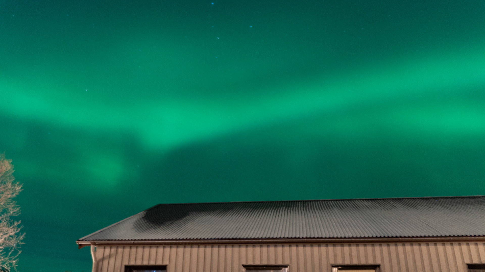 Abisko, (Swedish Lapland)