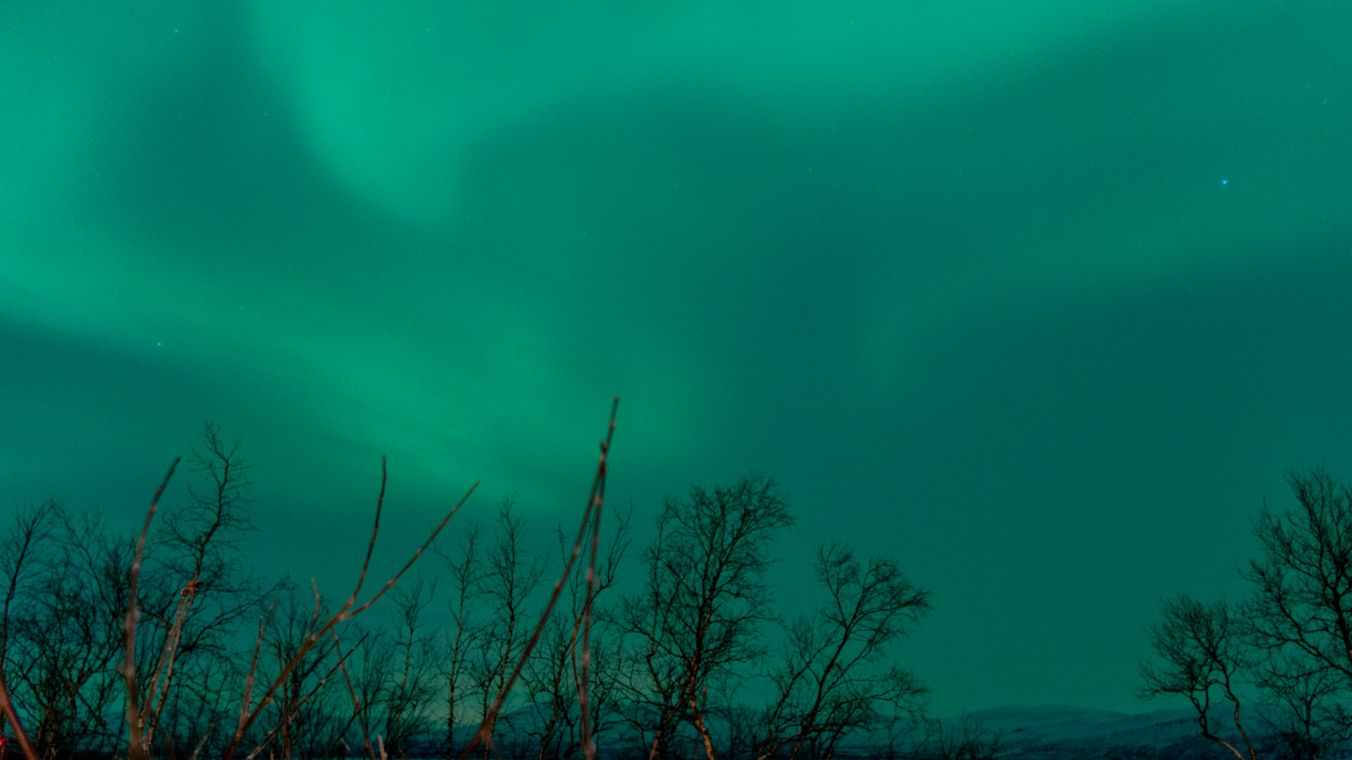 Abisko, (Swedish Lapland)